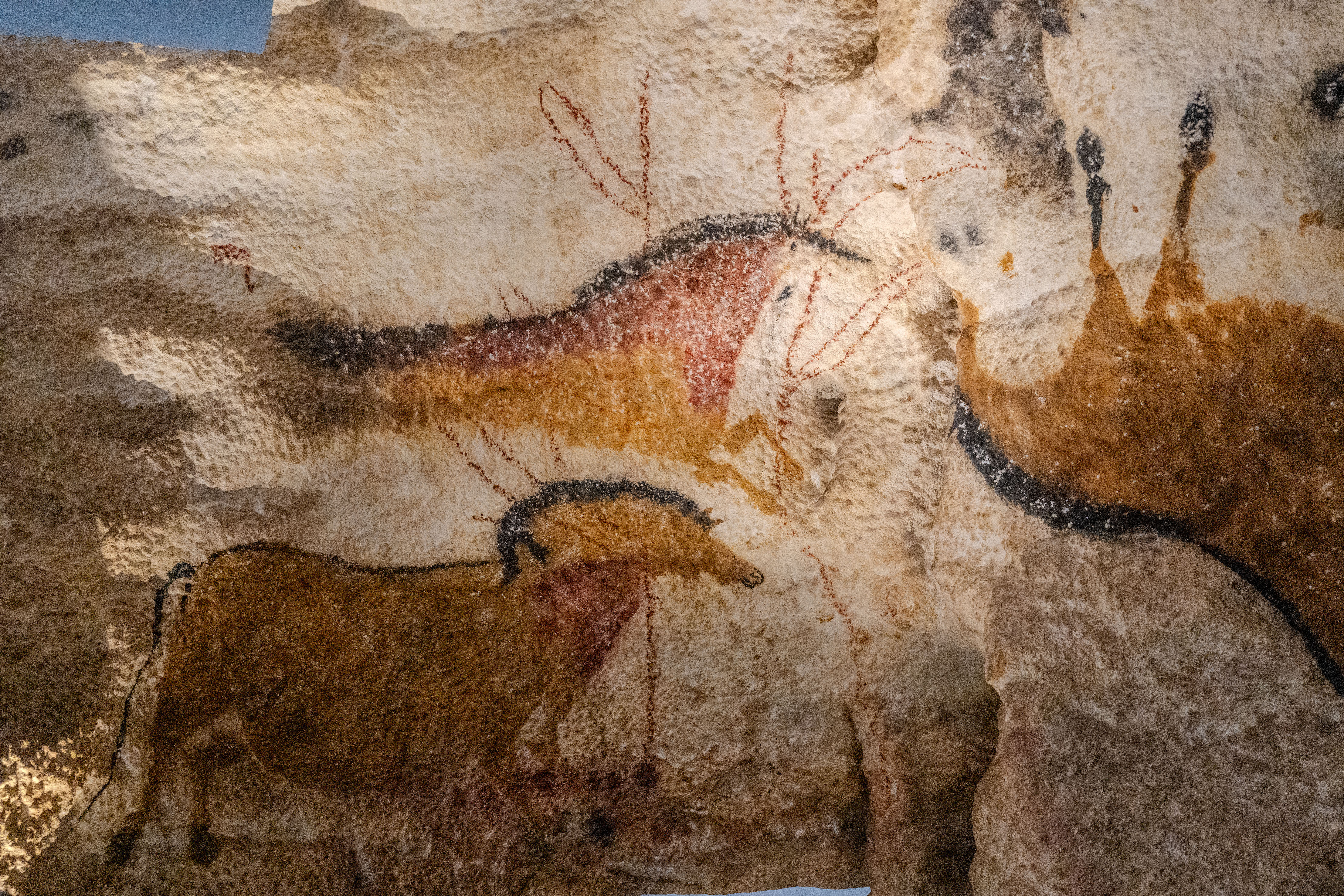Lascaux_IV_Z6iii_06052025_5371.jpg
