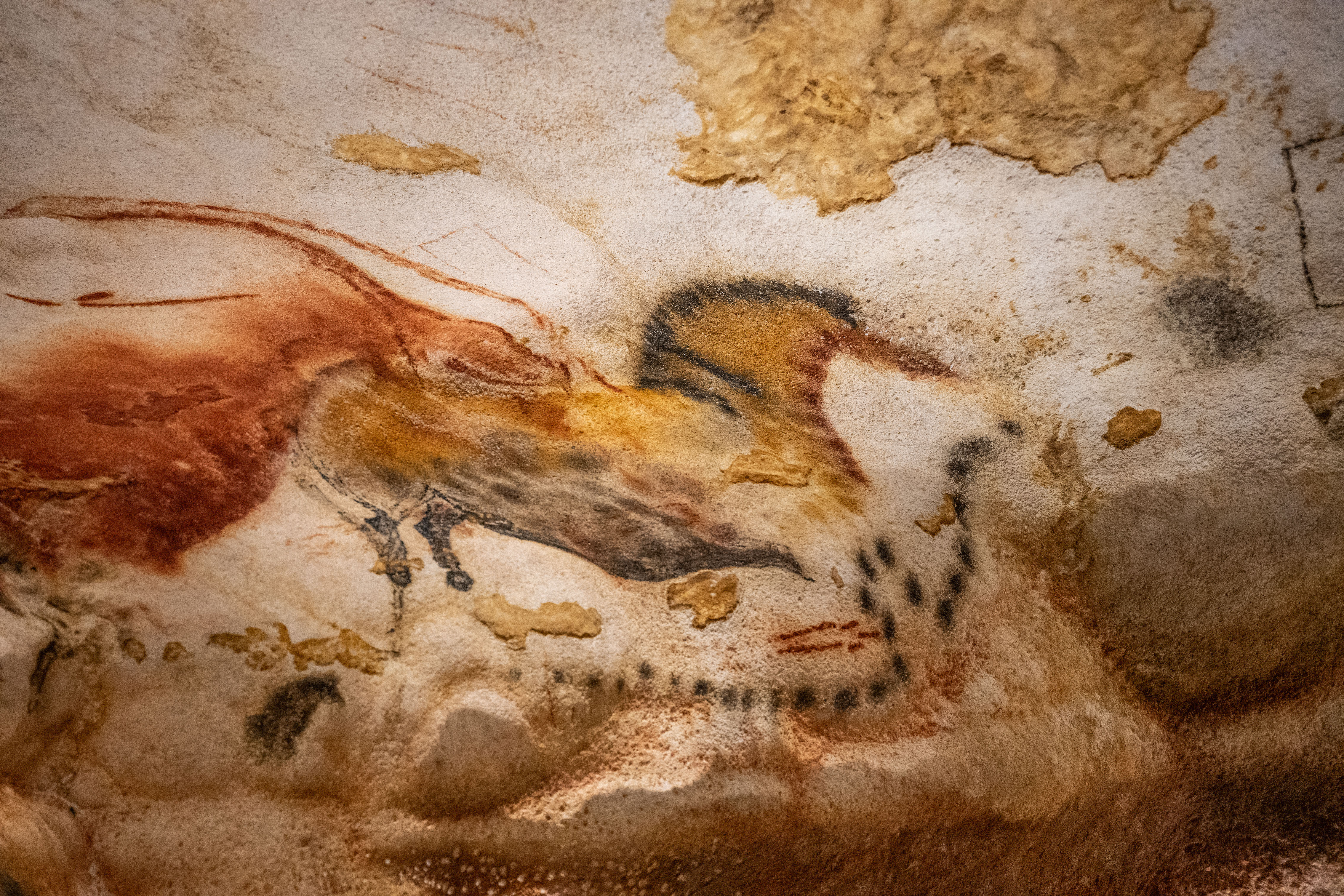 Lascaux_IV_Z6iii_06052025_5375.jpg