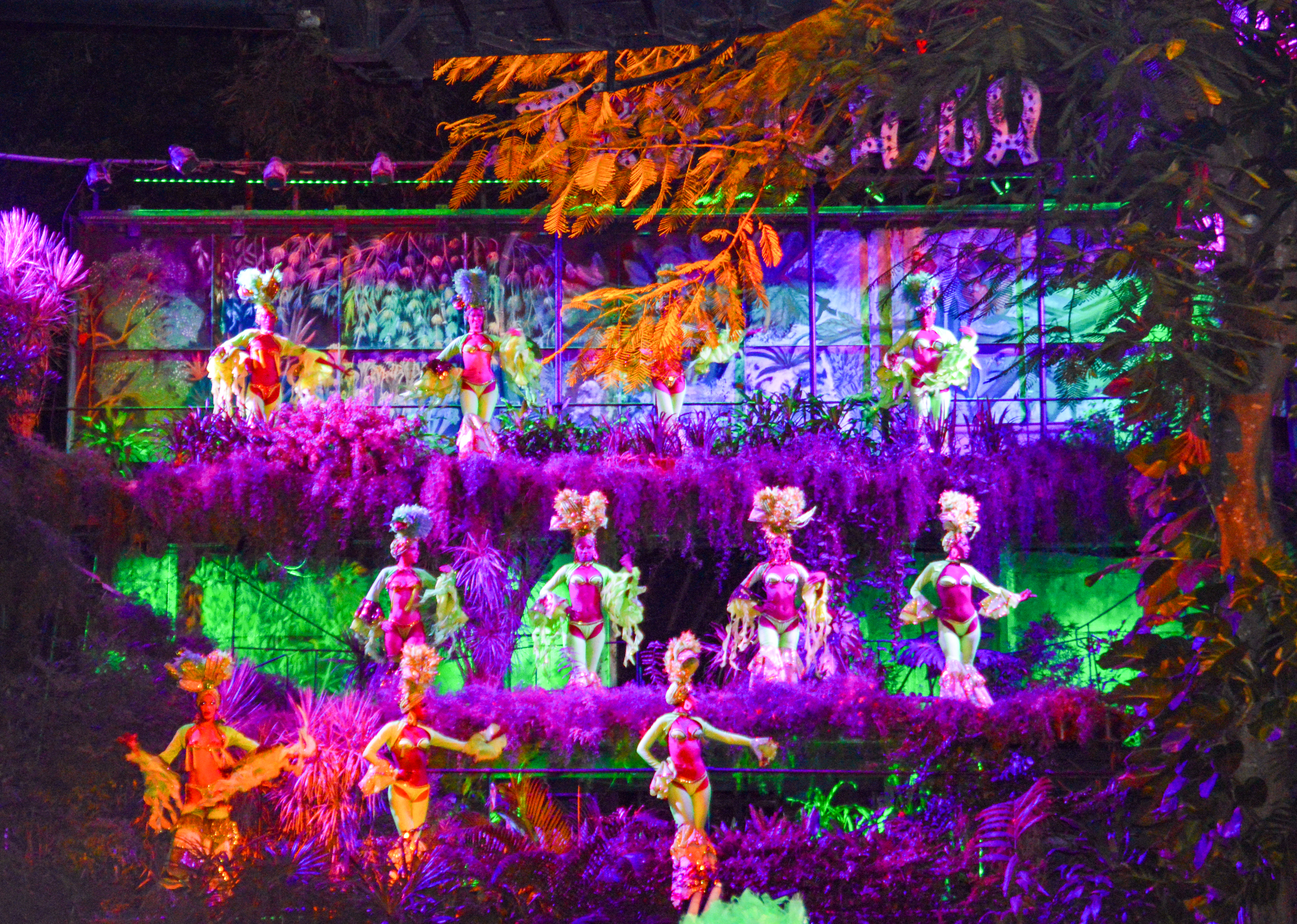 link to Tropican Club