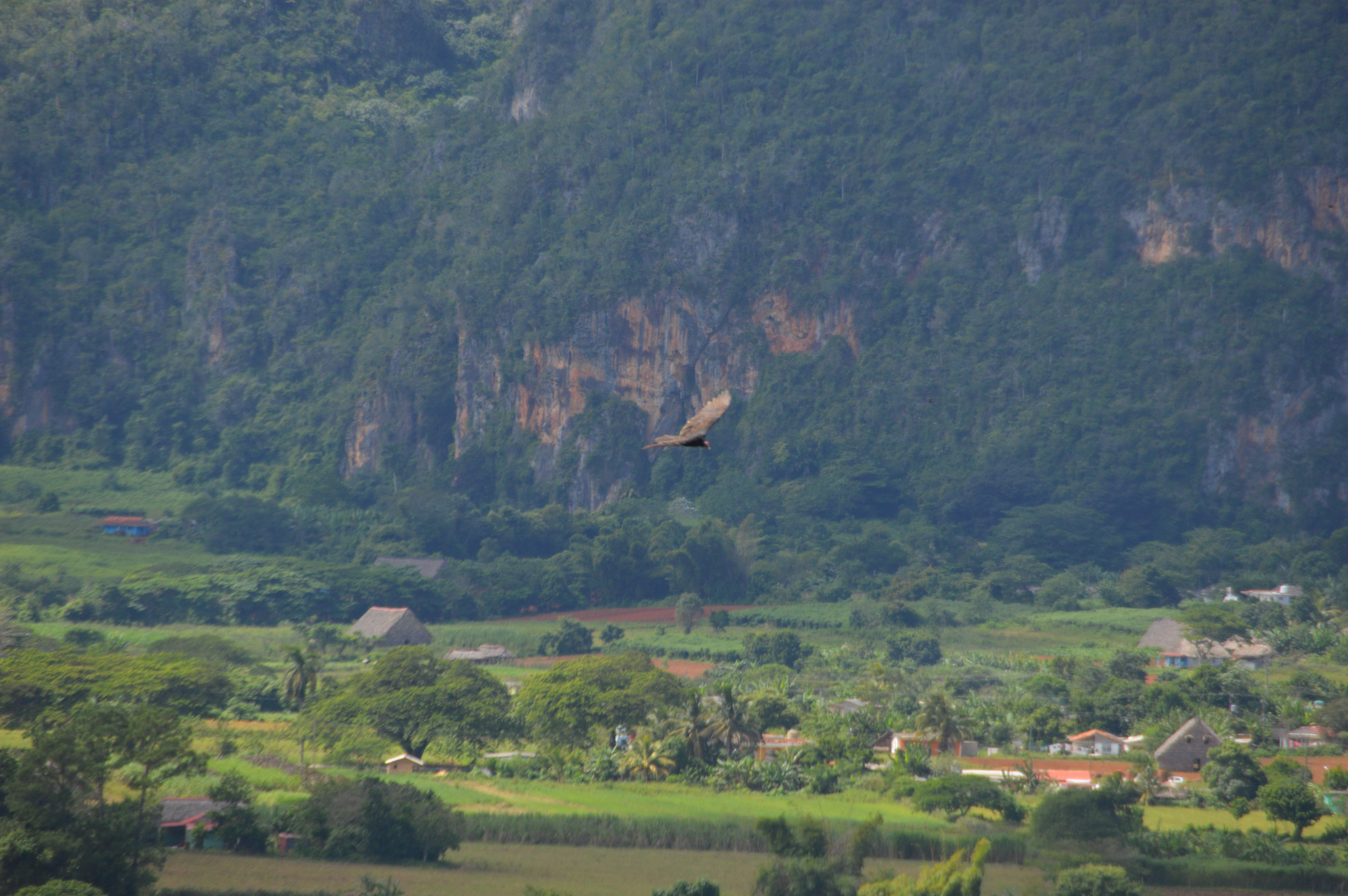 Vinales_D3200_10112015_568.jpg