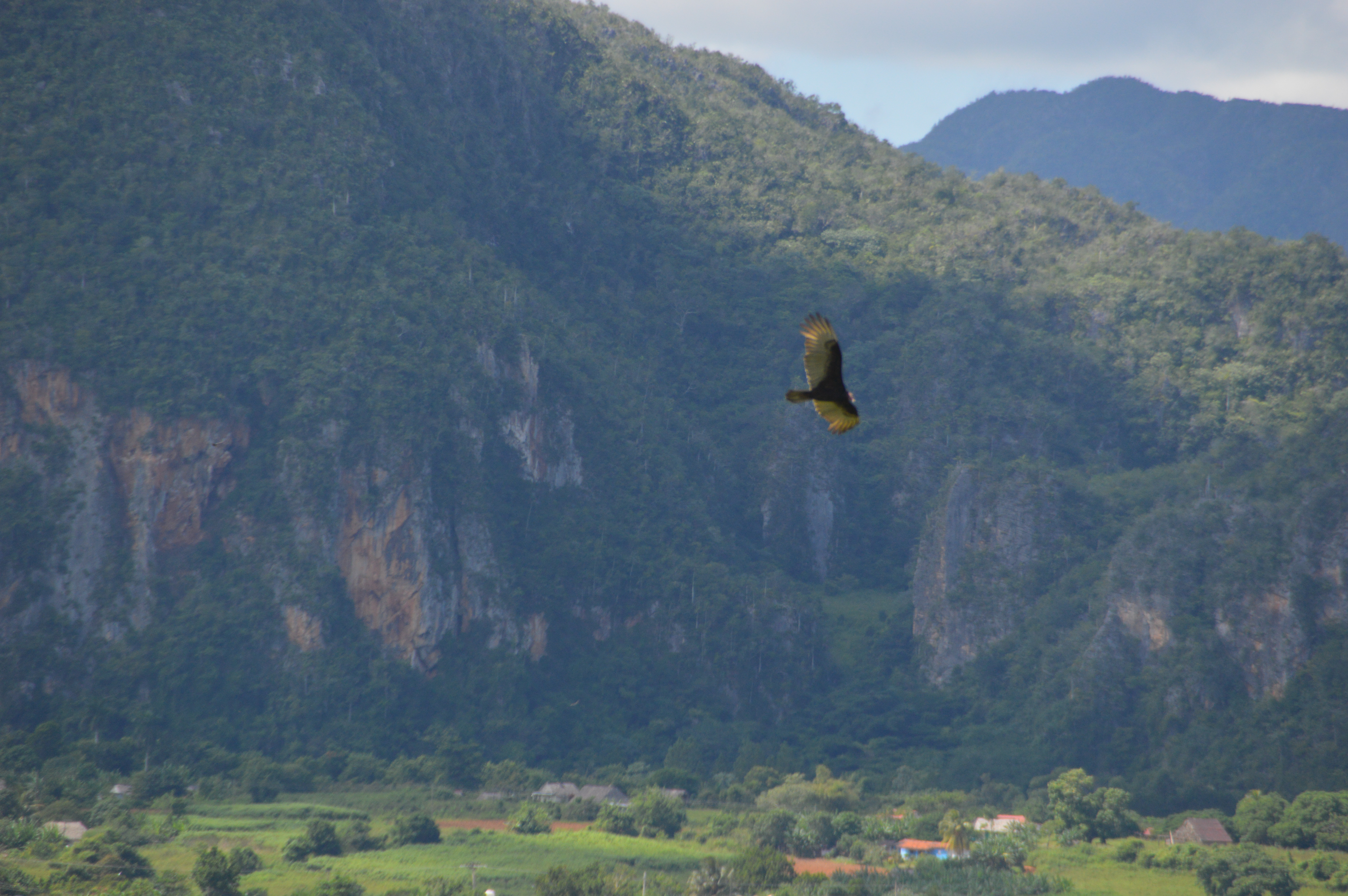 Vinales_D3200_10112015_569.jpg