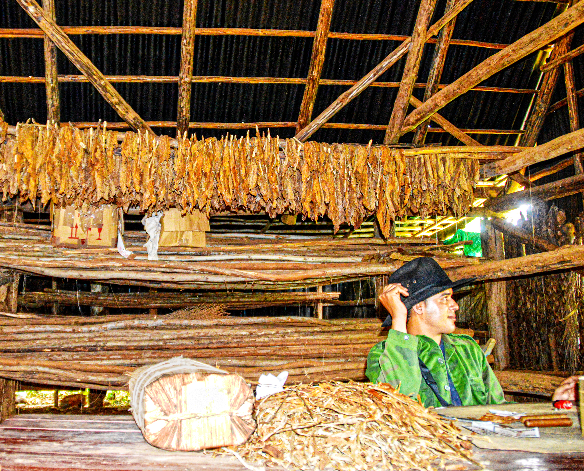 link to Vinales