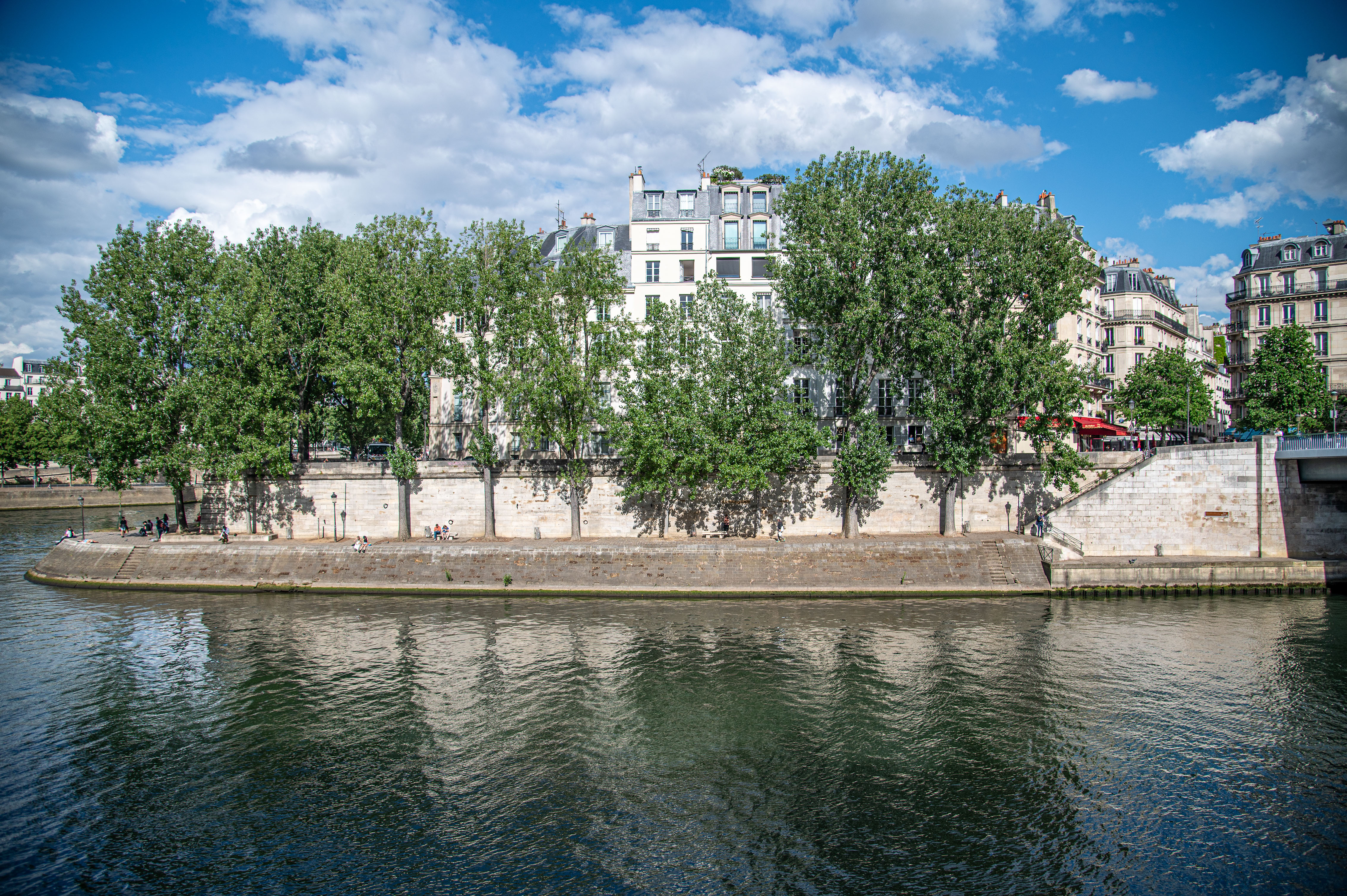scenic view of a riverbank in an urban setting