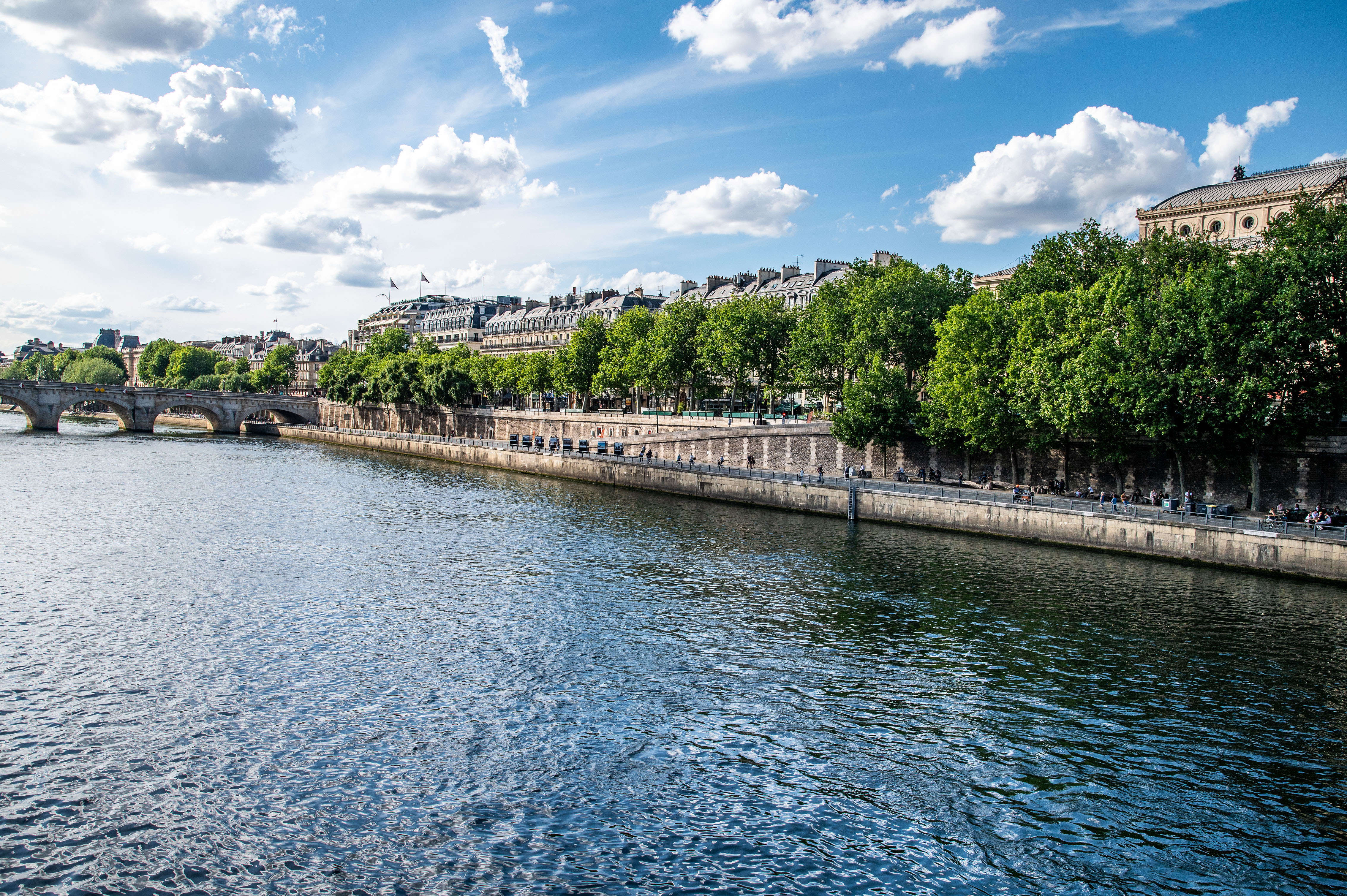 The Seine