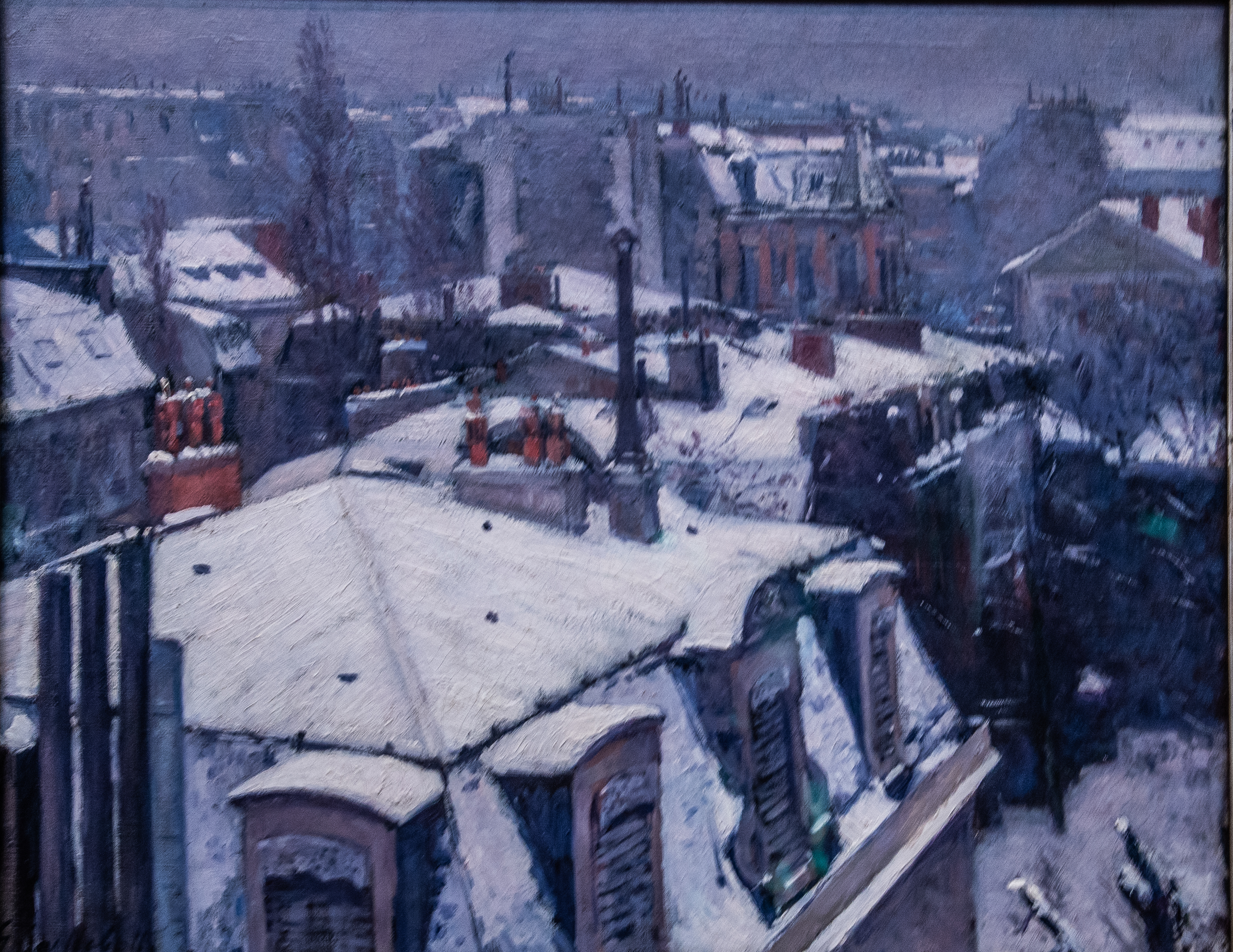Vue_de_toits_by_Gustave_Caillebotte_D780_05172022_980.jpg