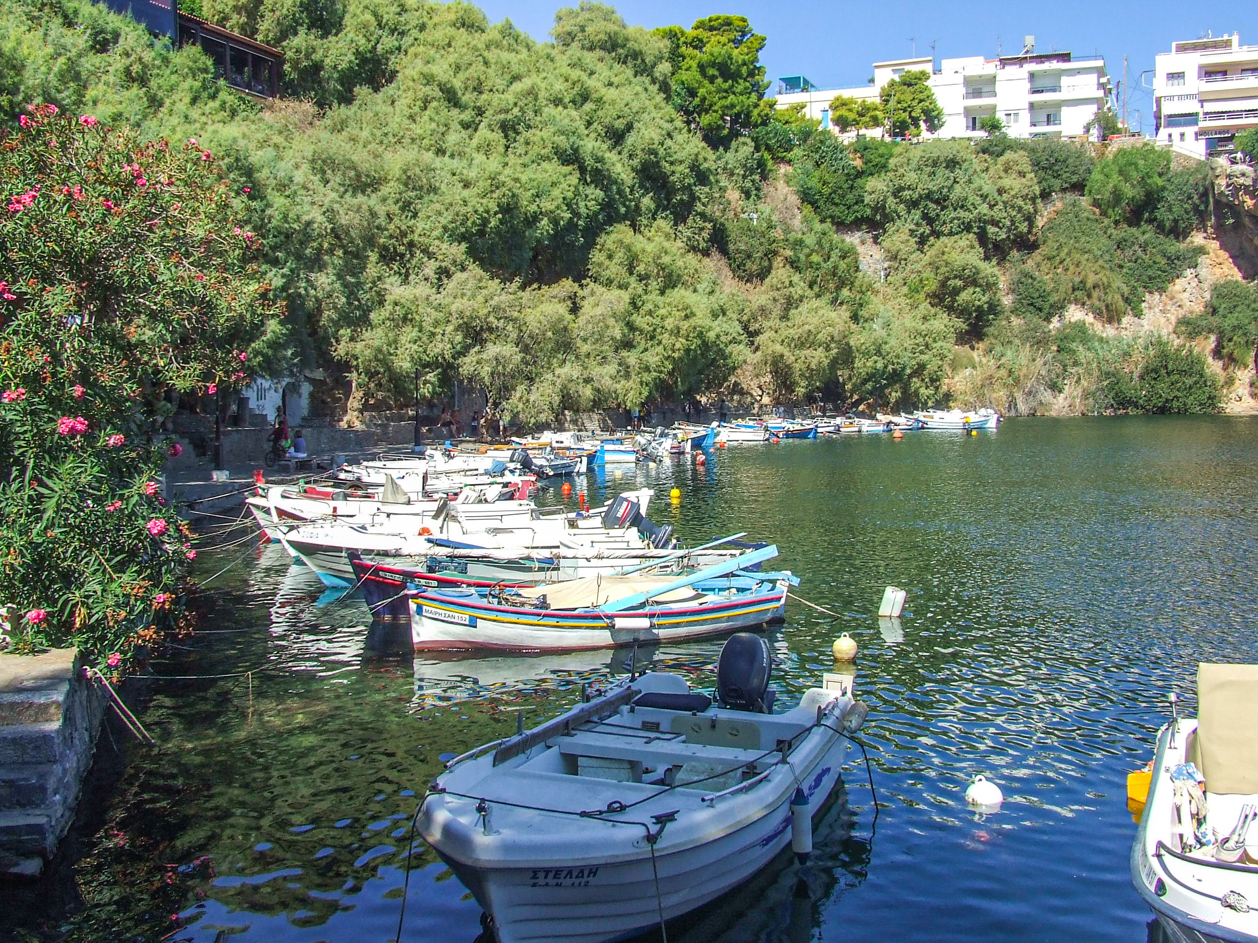 small boats docked