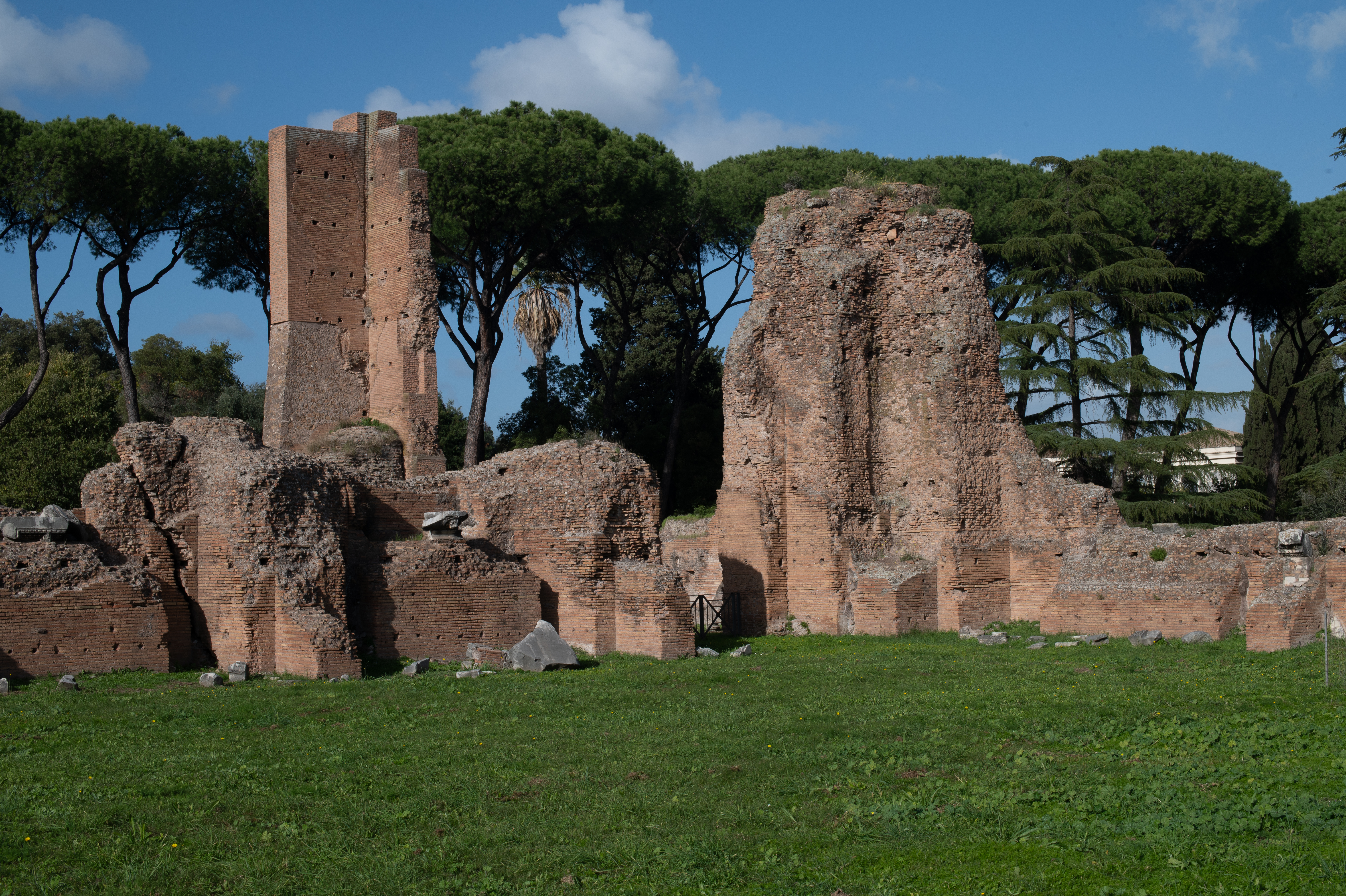 partially collapsed towers