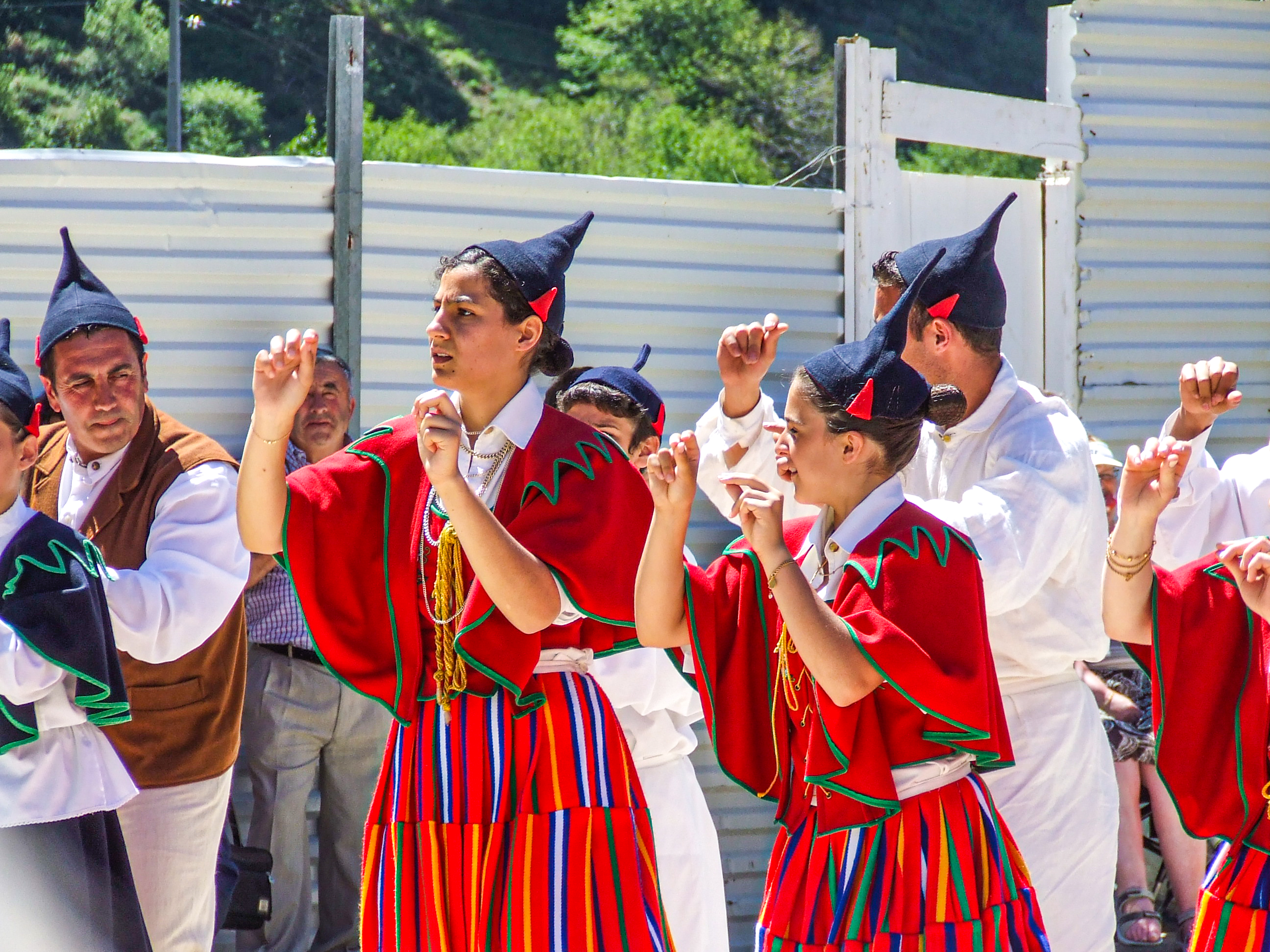 cultural or folk dance