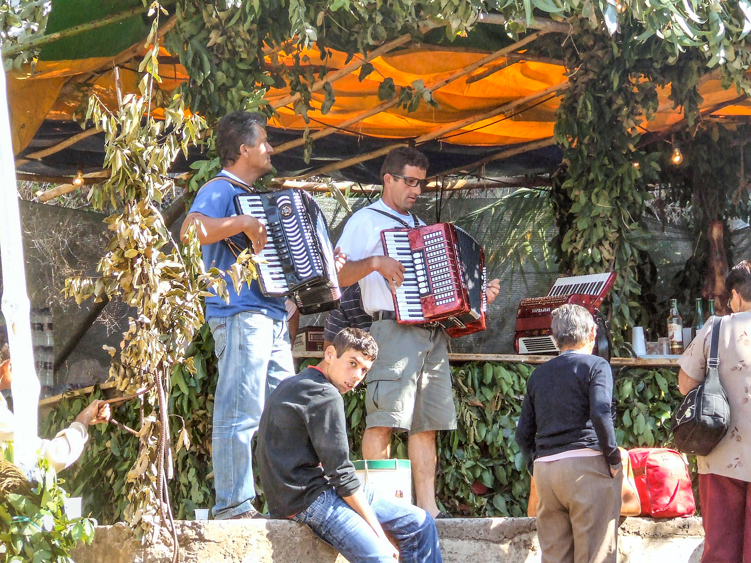 two men are playing accordions