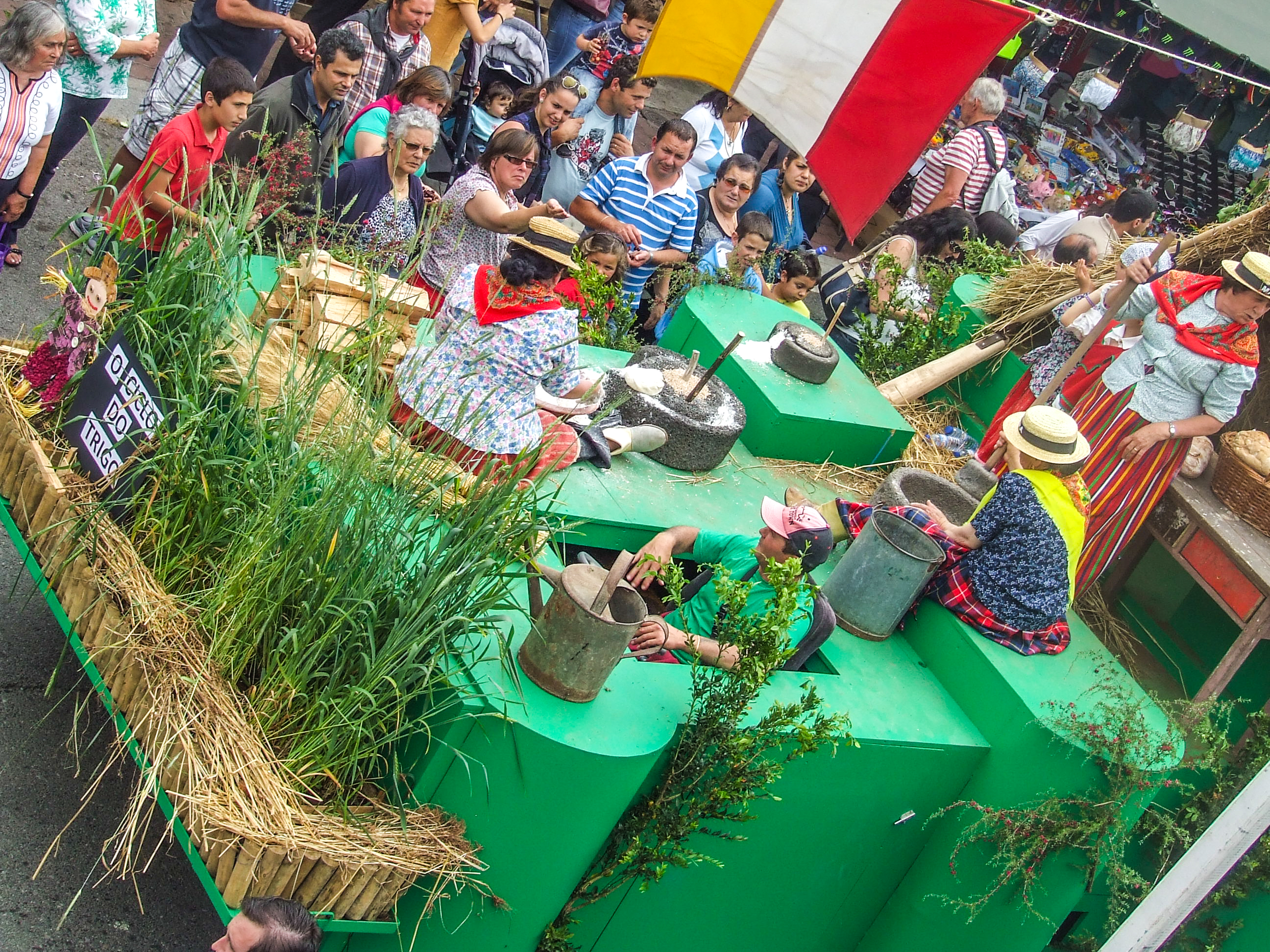 a colorful, plant-decorated float