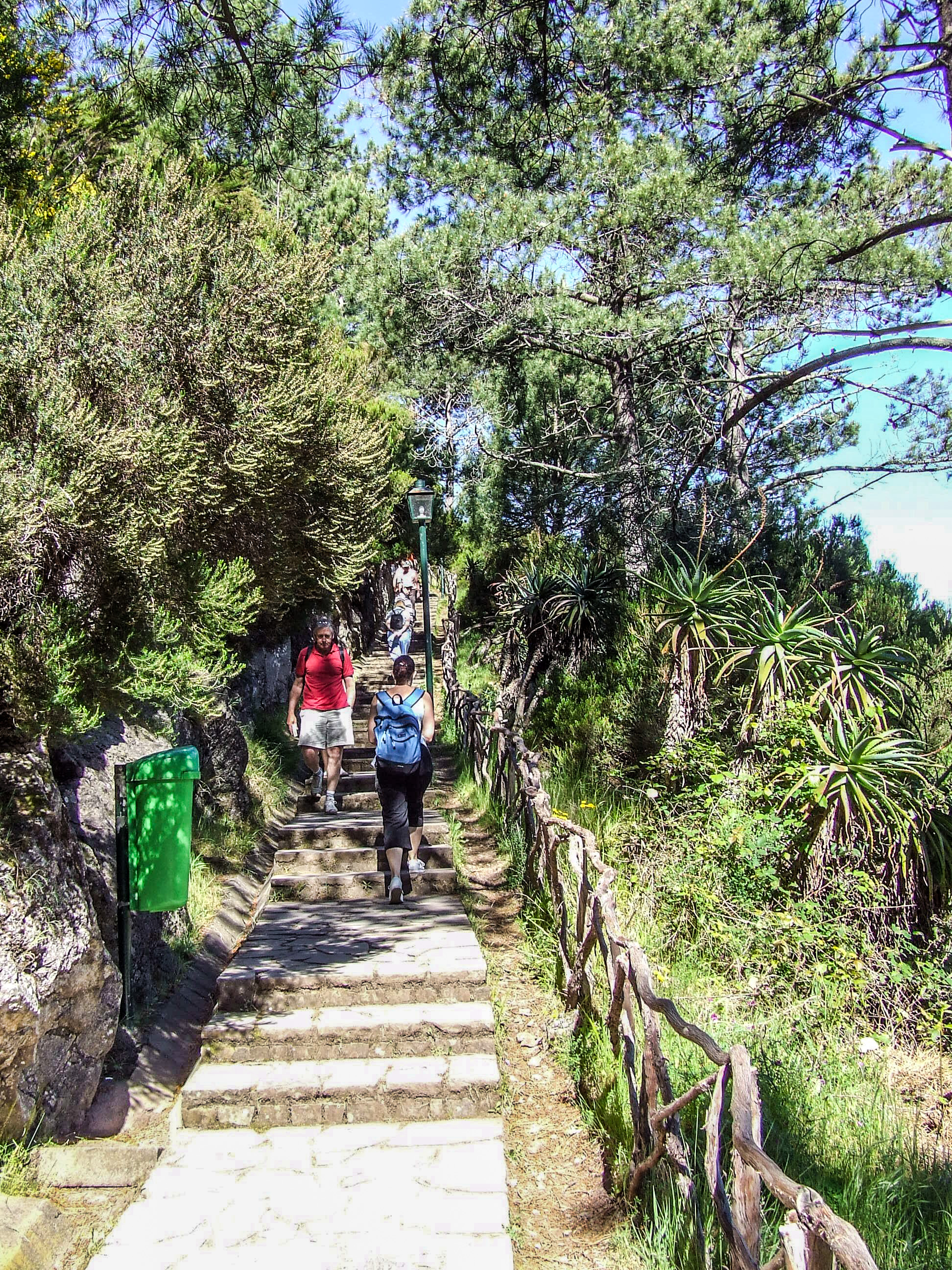 a stone pathway and steps leading upwards