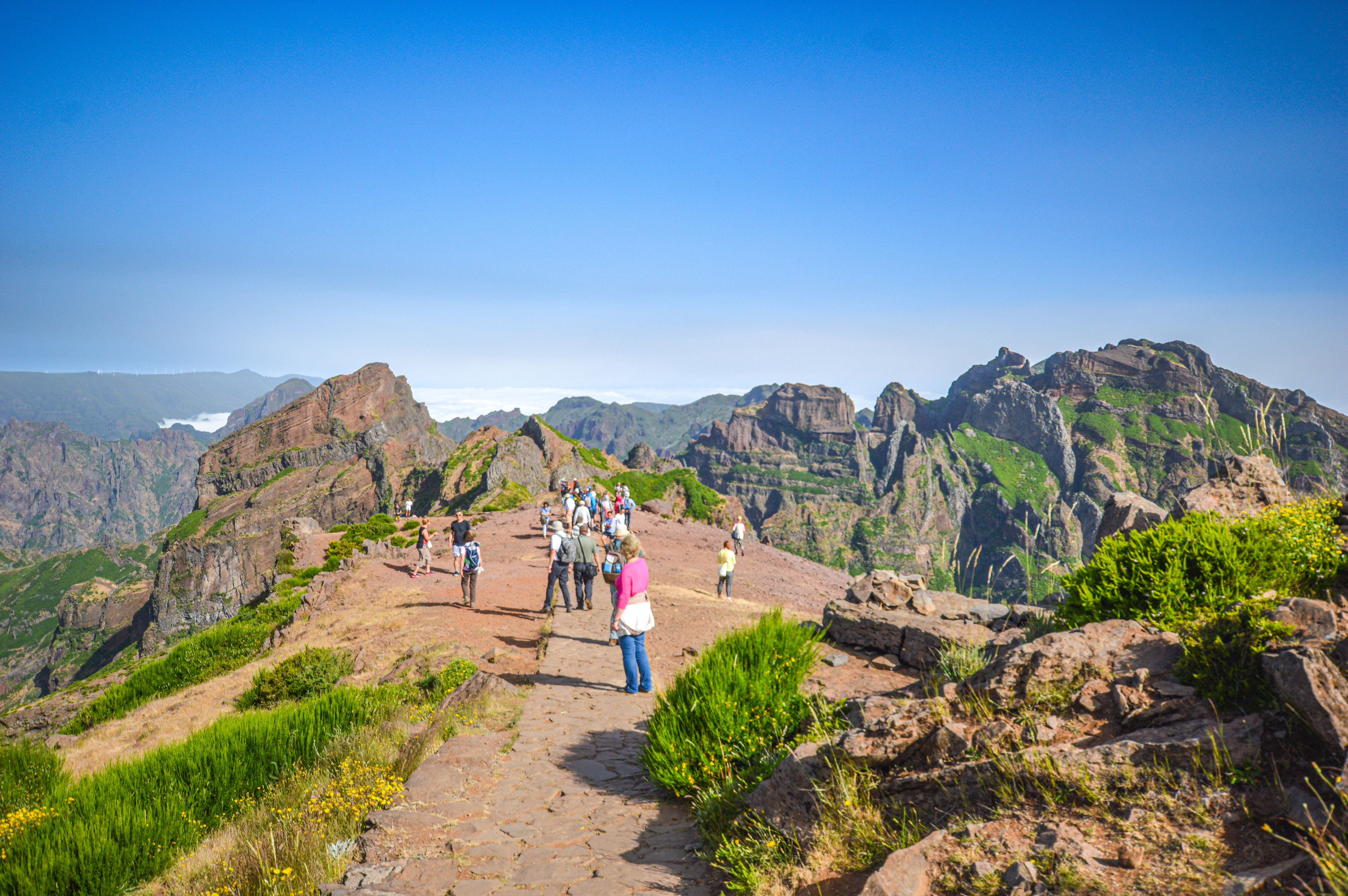 a group of hikers on a rocky trail