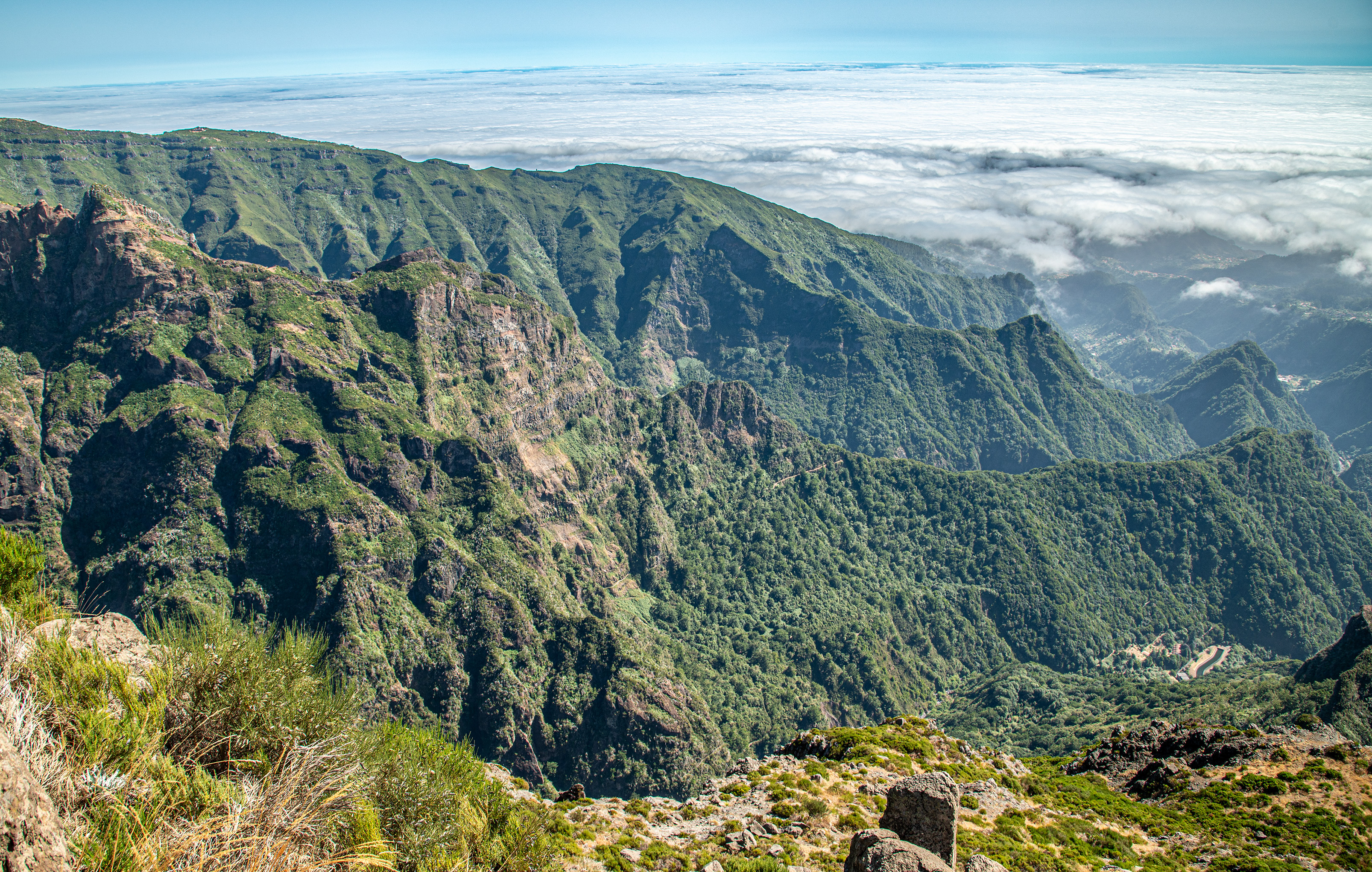 rugged terrain and lush greenery