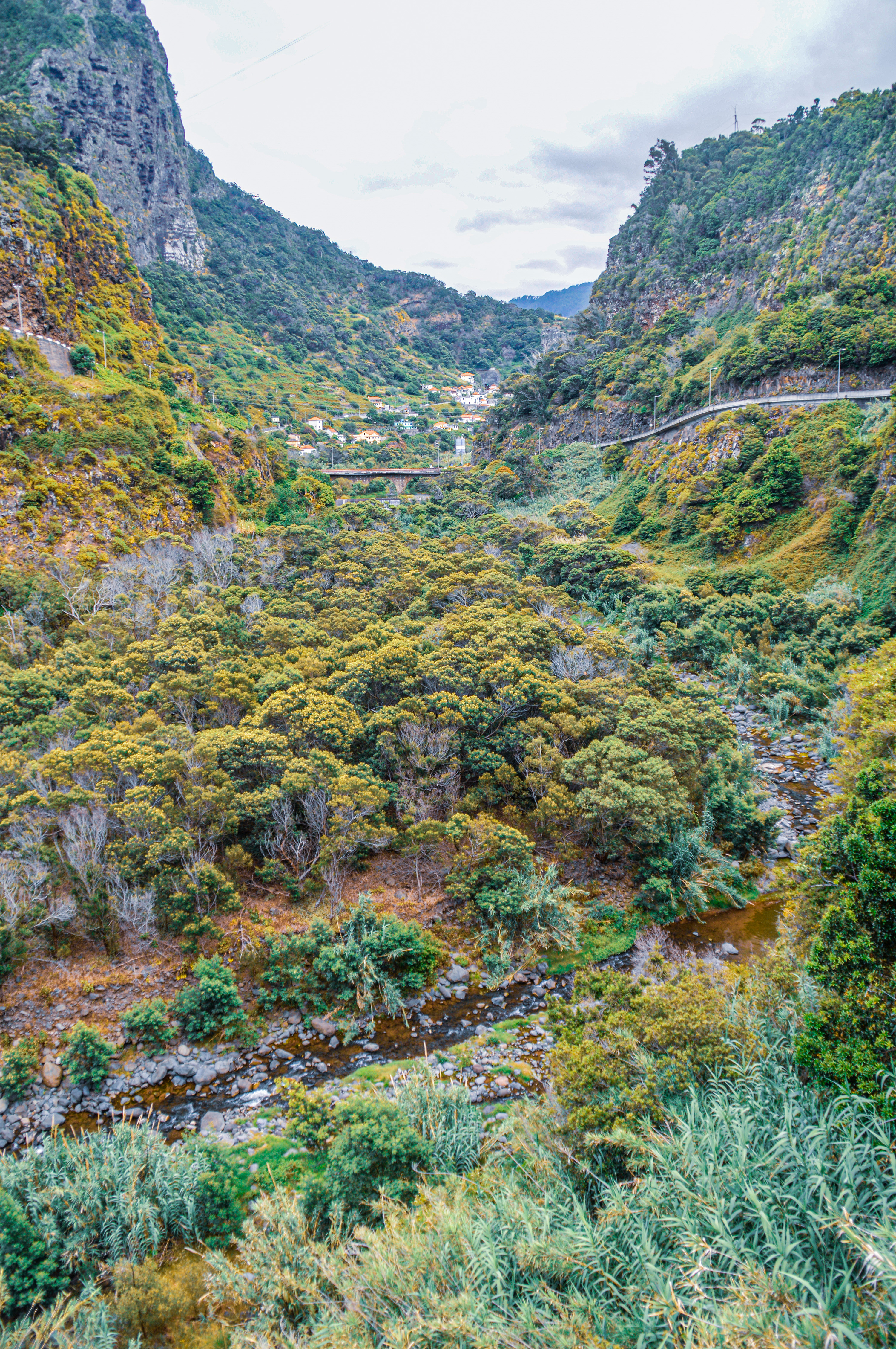 scenic valley with lush greenery and a winding river
