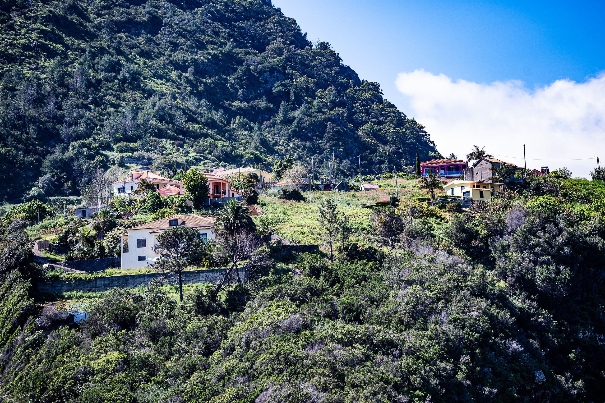 several houses scattered across a verdant hillside