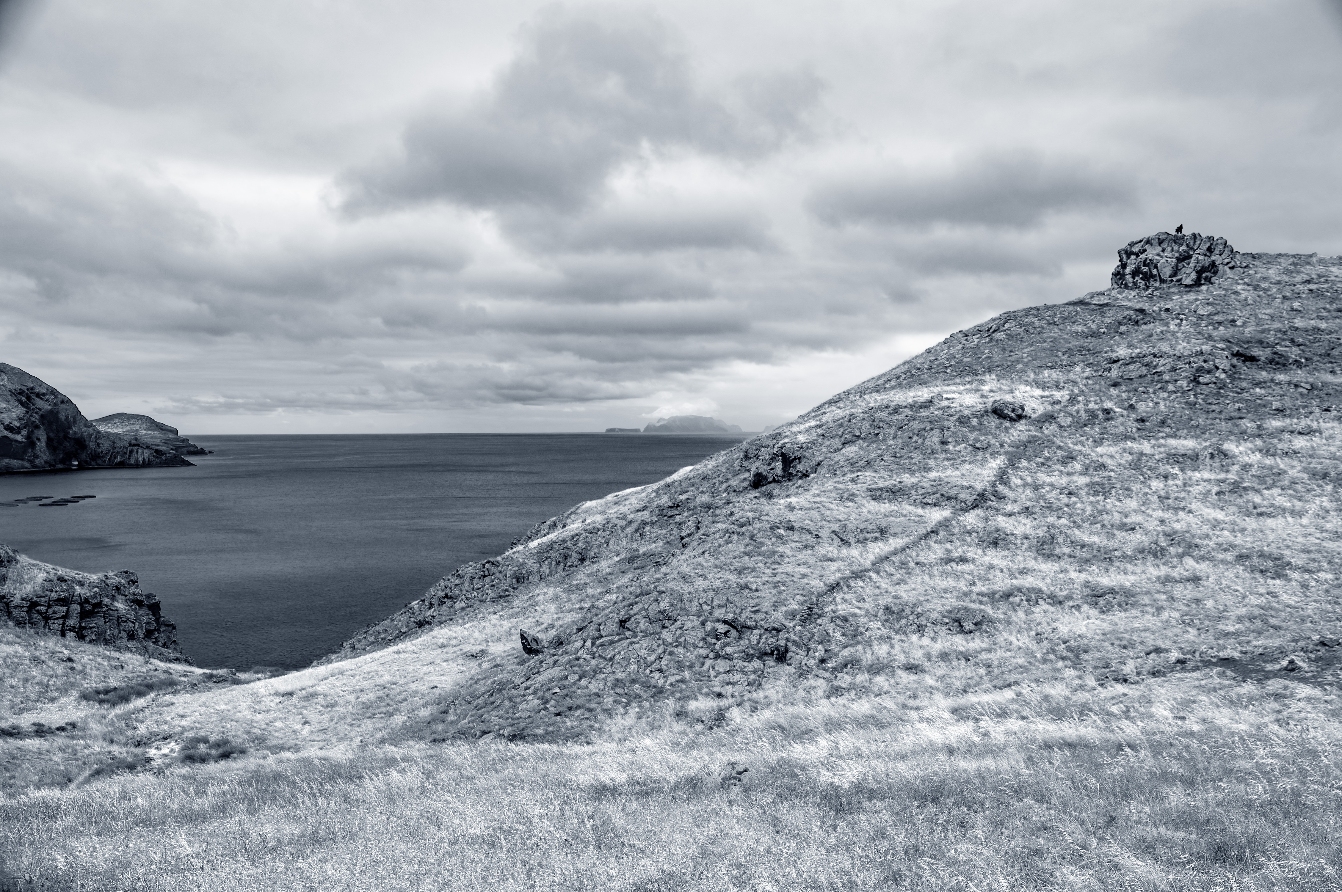 the overall mood is somber due to the grayscale color scheme