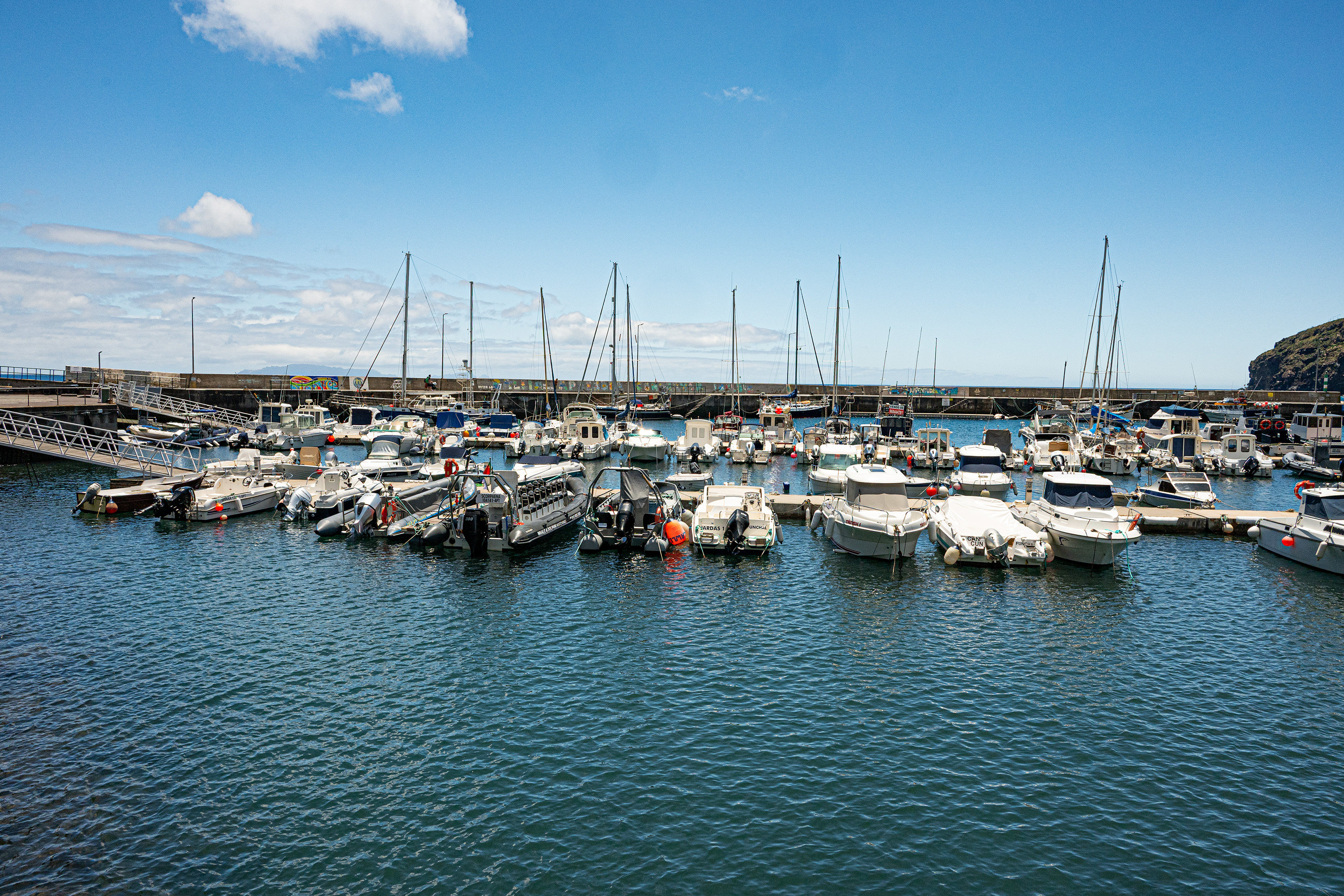 busy marina filled with various boats and yachts