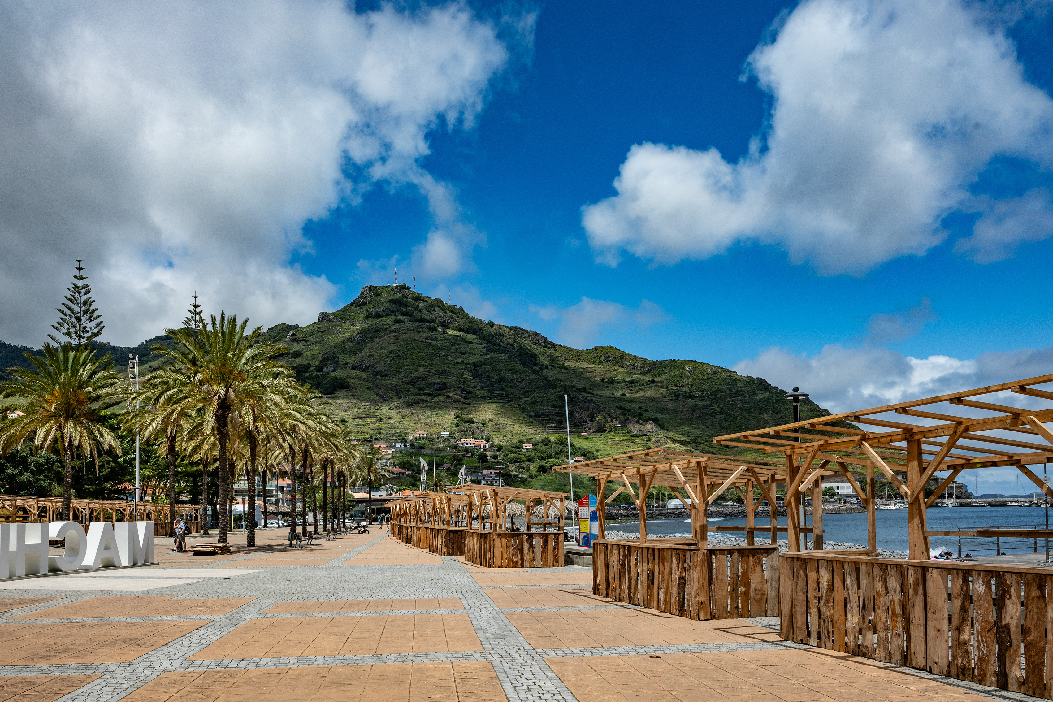 coastal area with a paved walkway lined with palm trees