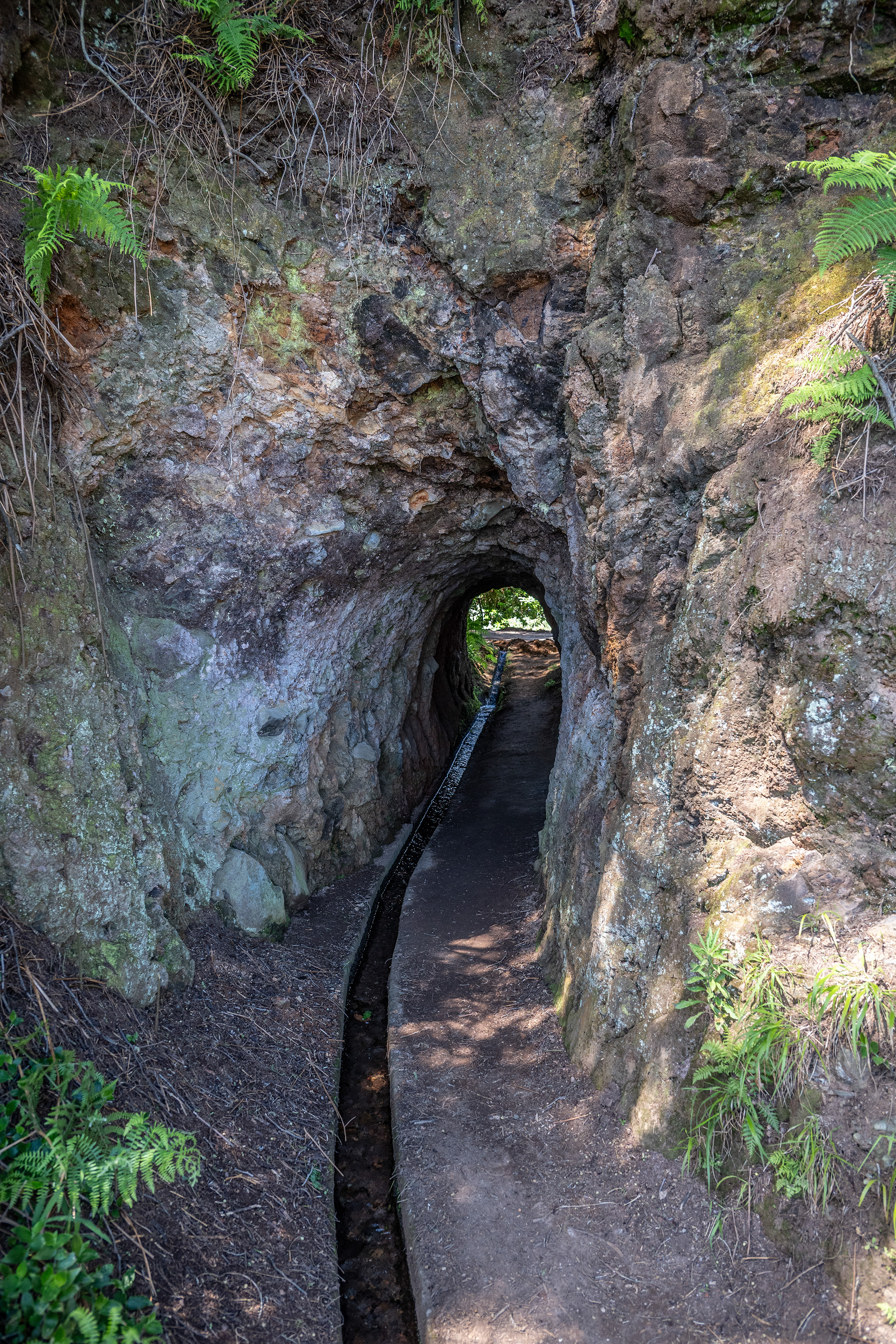 a narrow tunnel carved through a rocky hillside