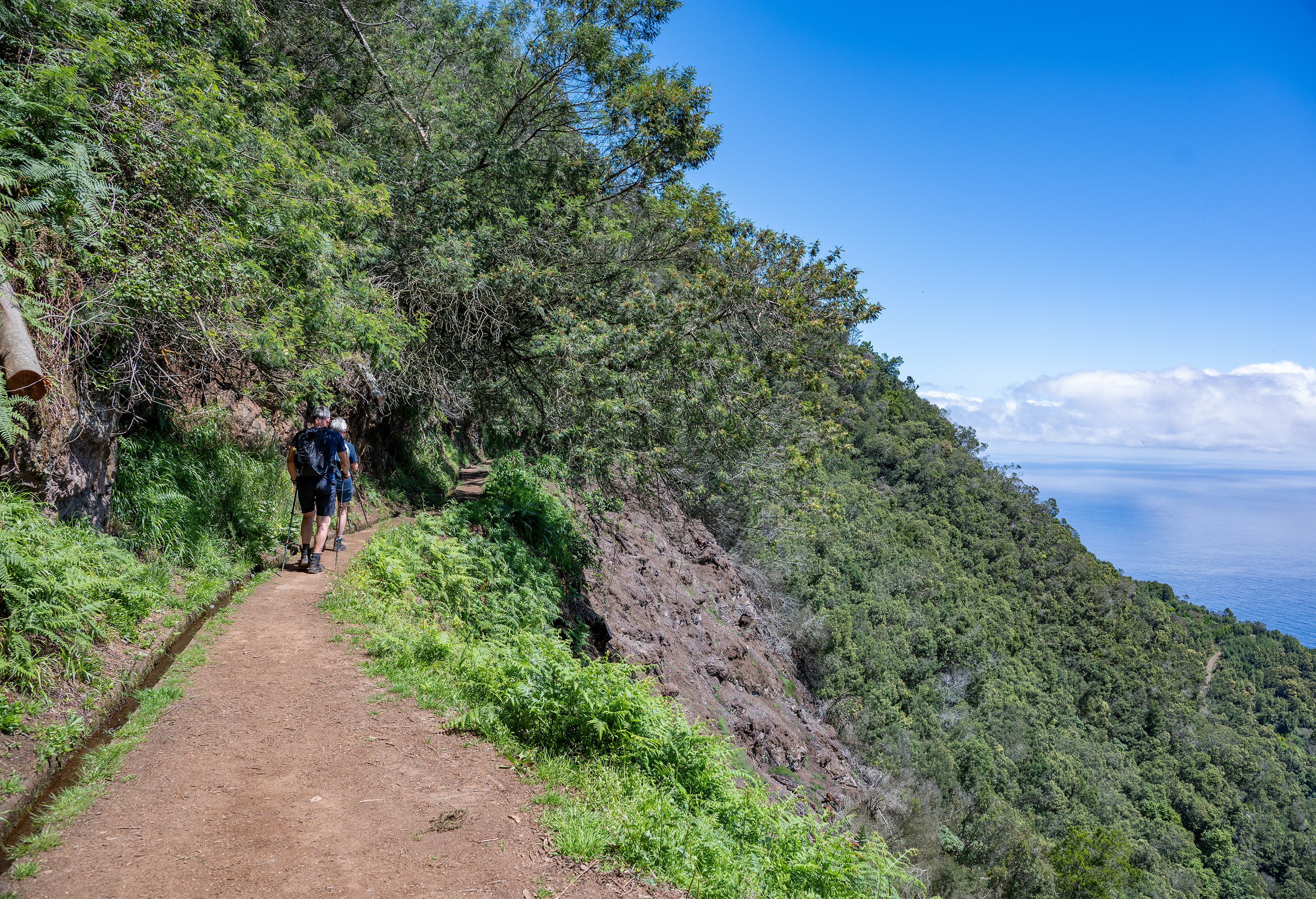 two hikers on a narrow dirt trail along a cliffside