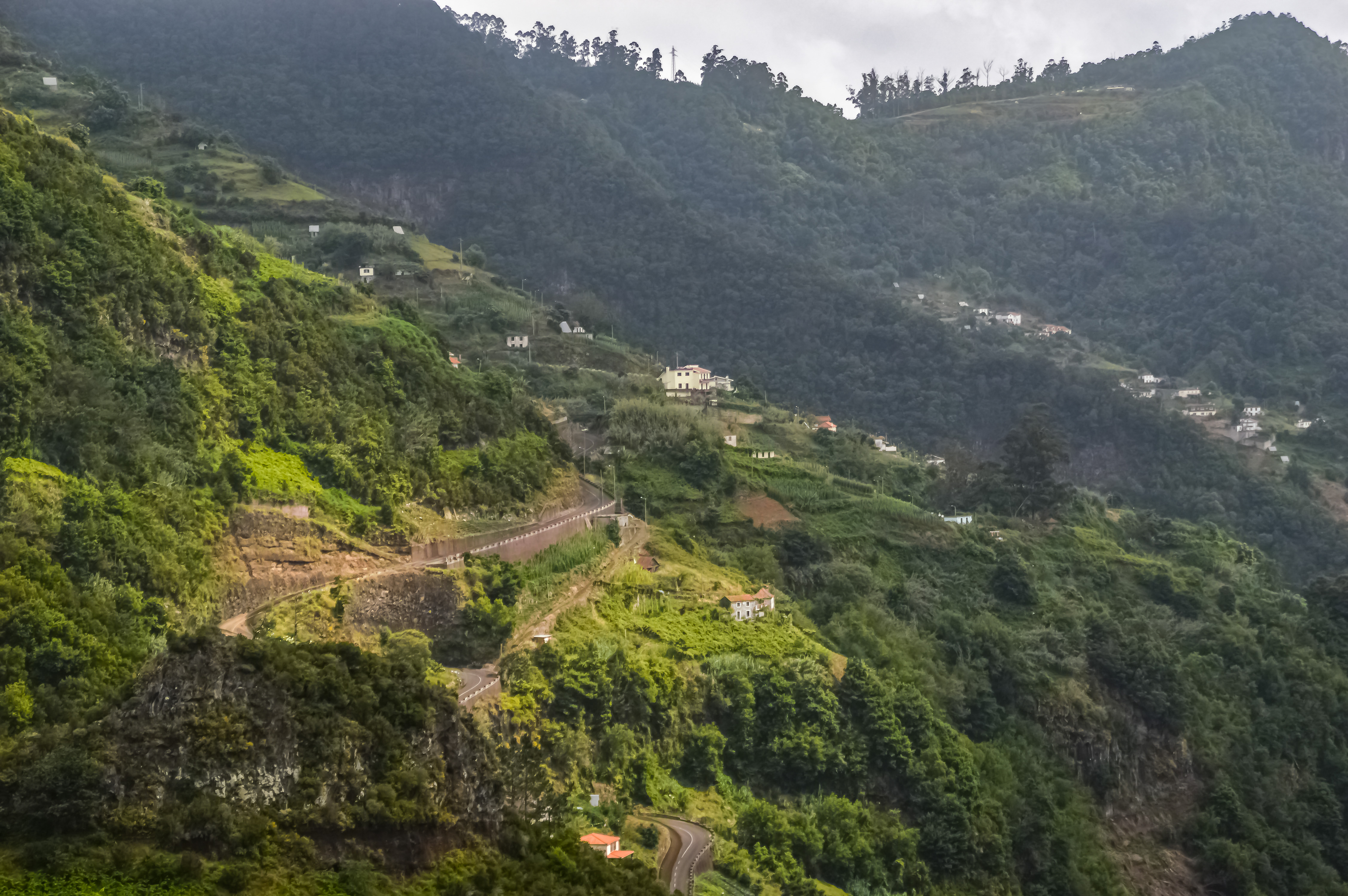 lush, green mountainous landscape