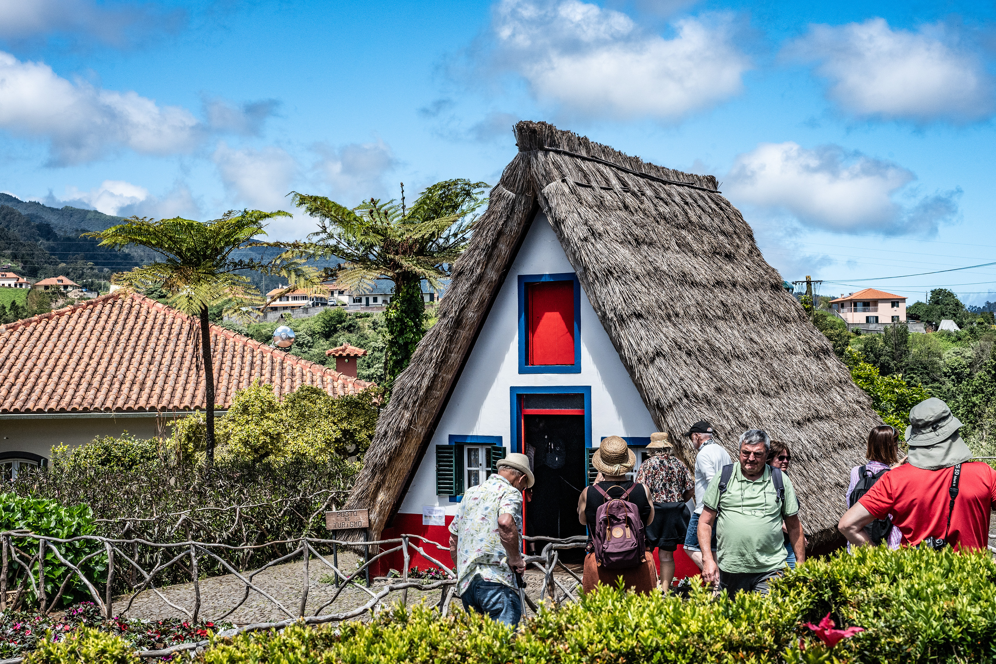 traditional thatched-roof house