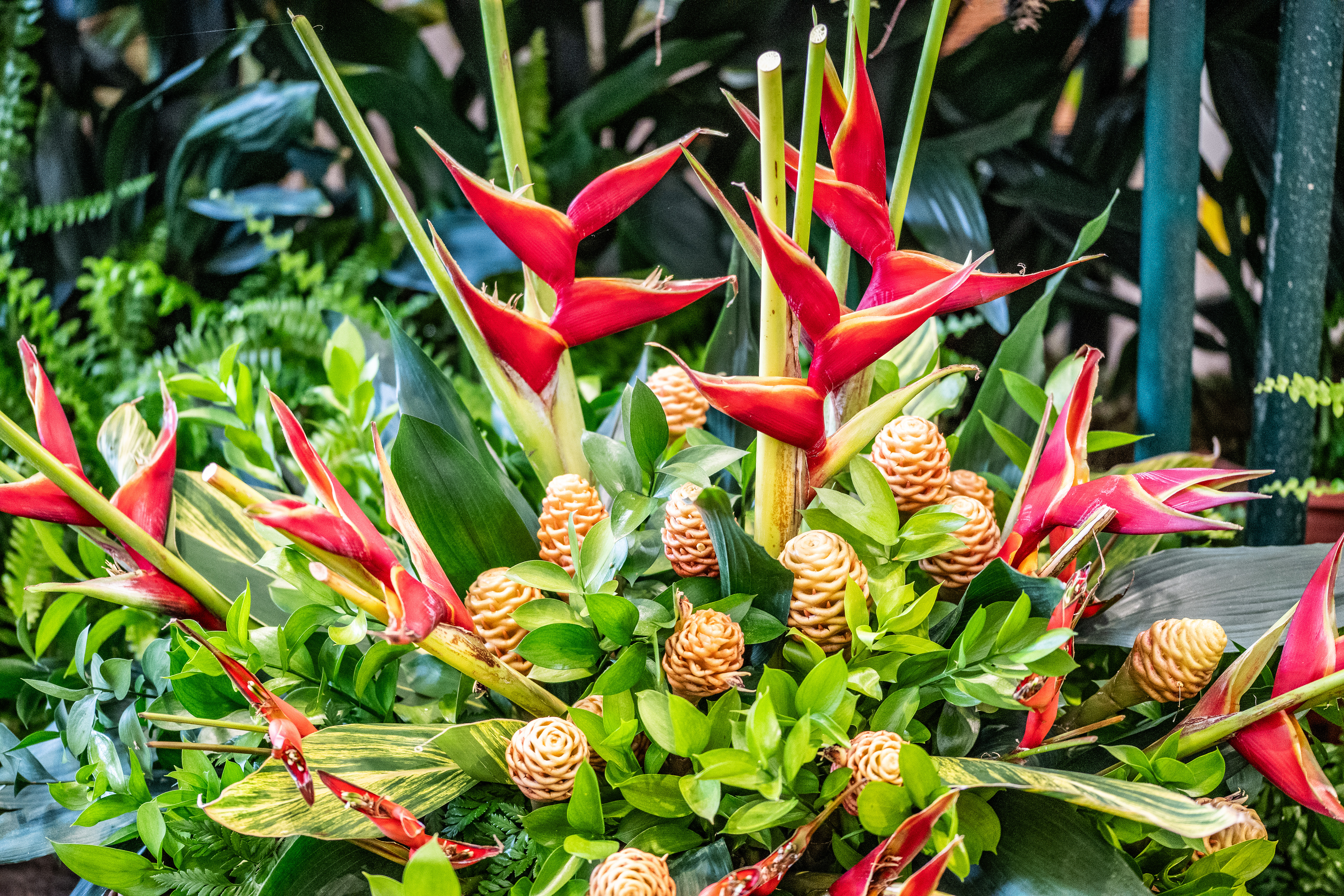 a vibrant and lush arrangement of tropical flowers