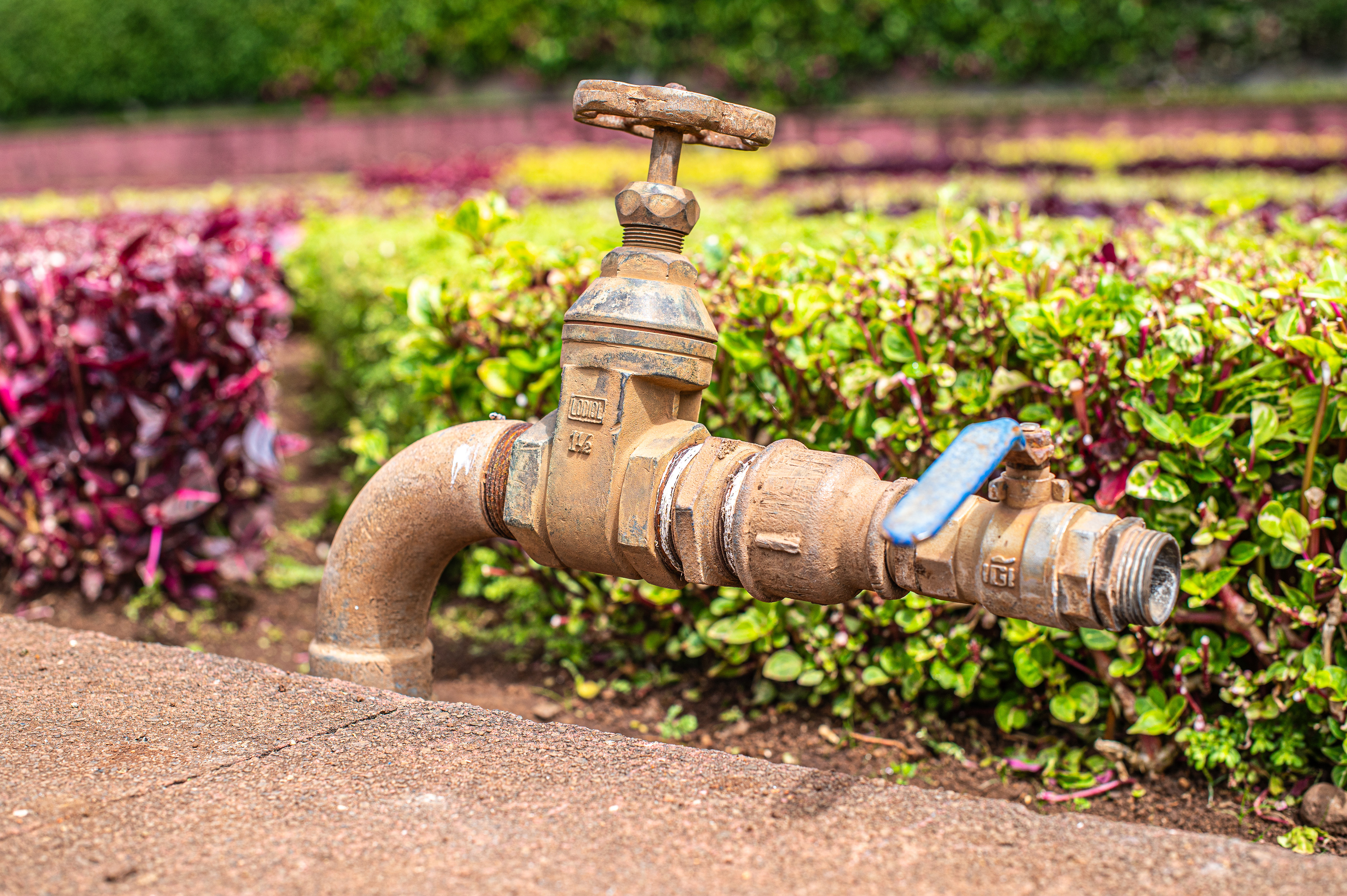old, rusty water valve