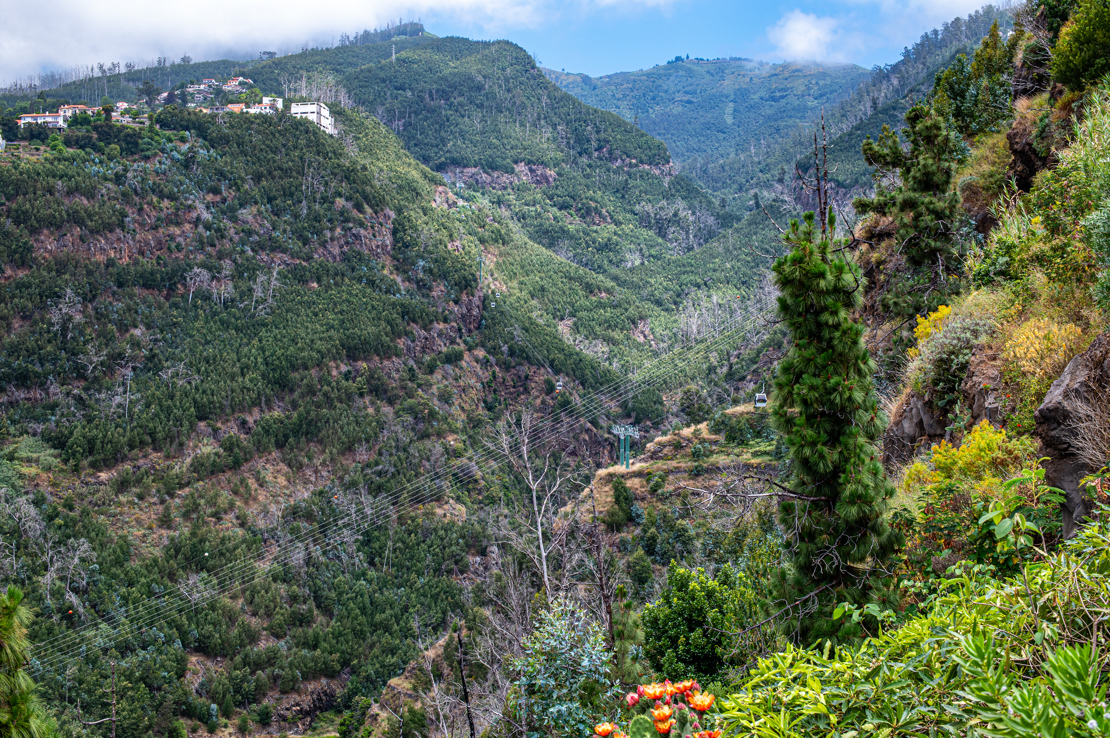mountainous landscape