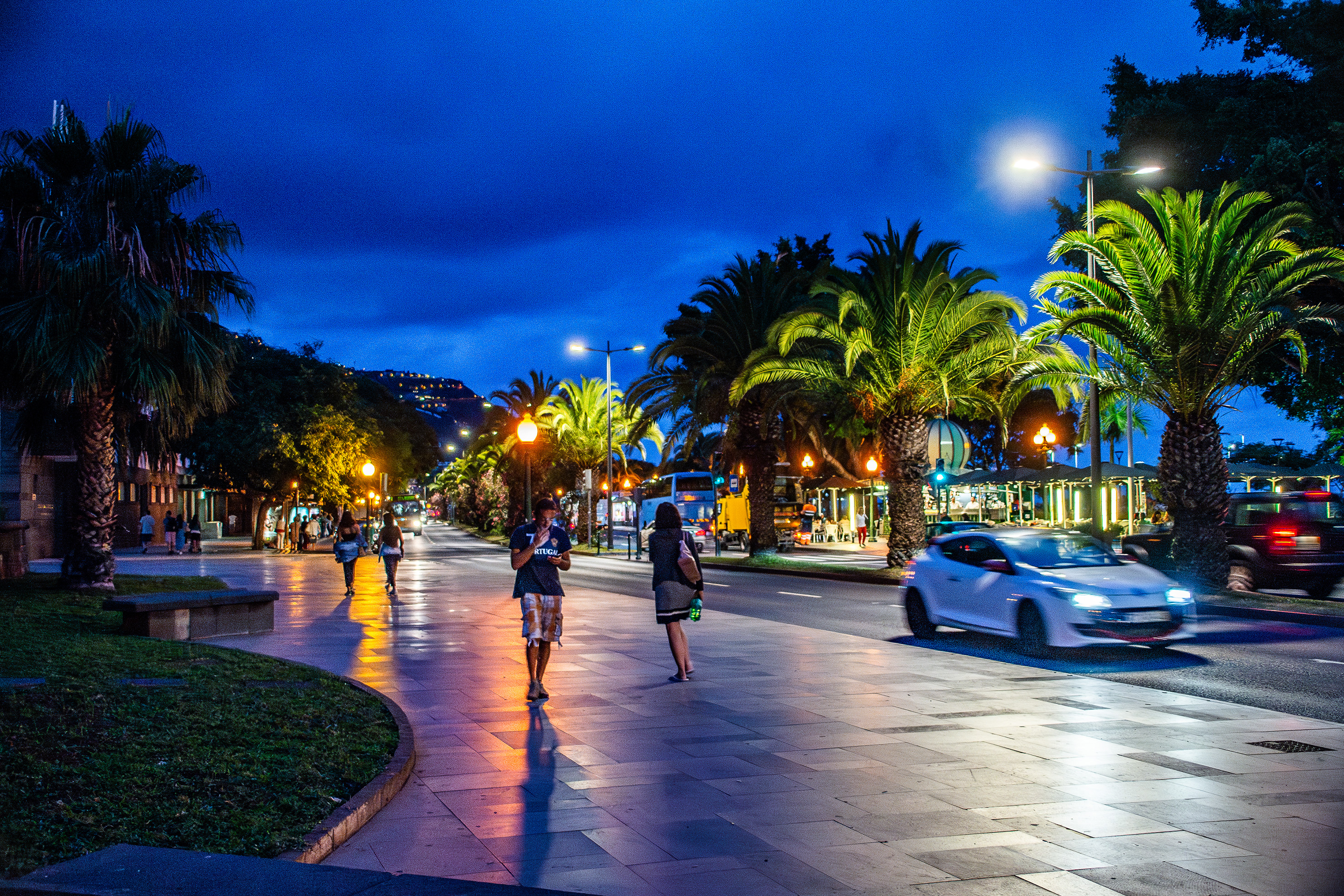 vibrant night scene of a palm tree-lined street