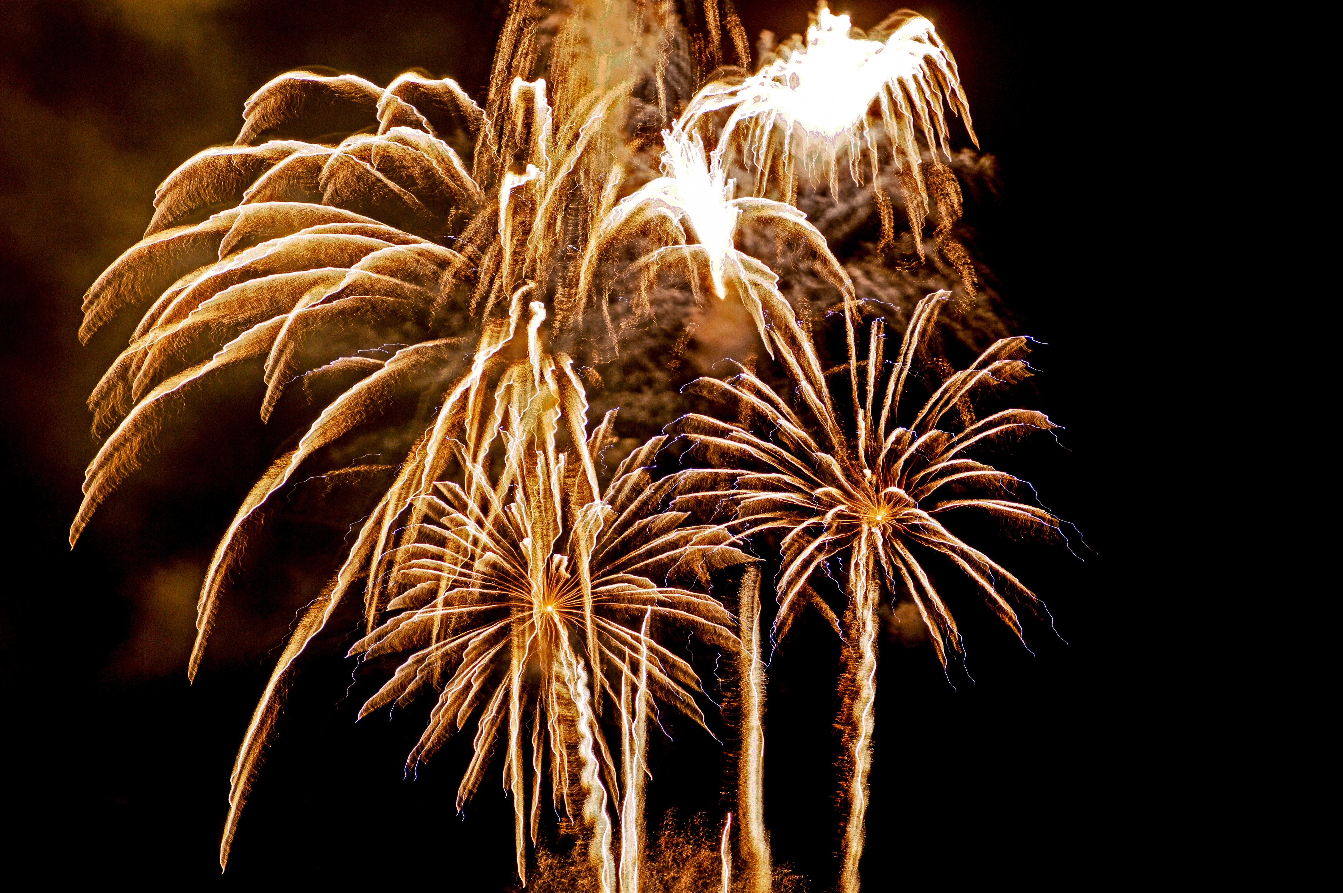 Firework Burst