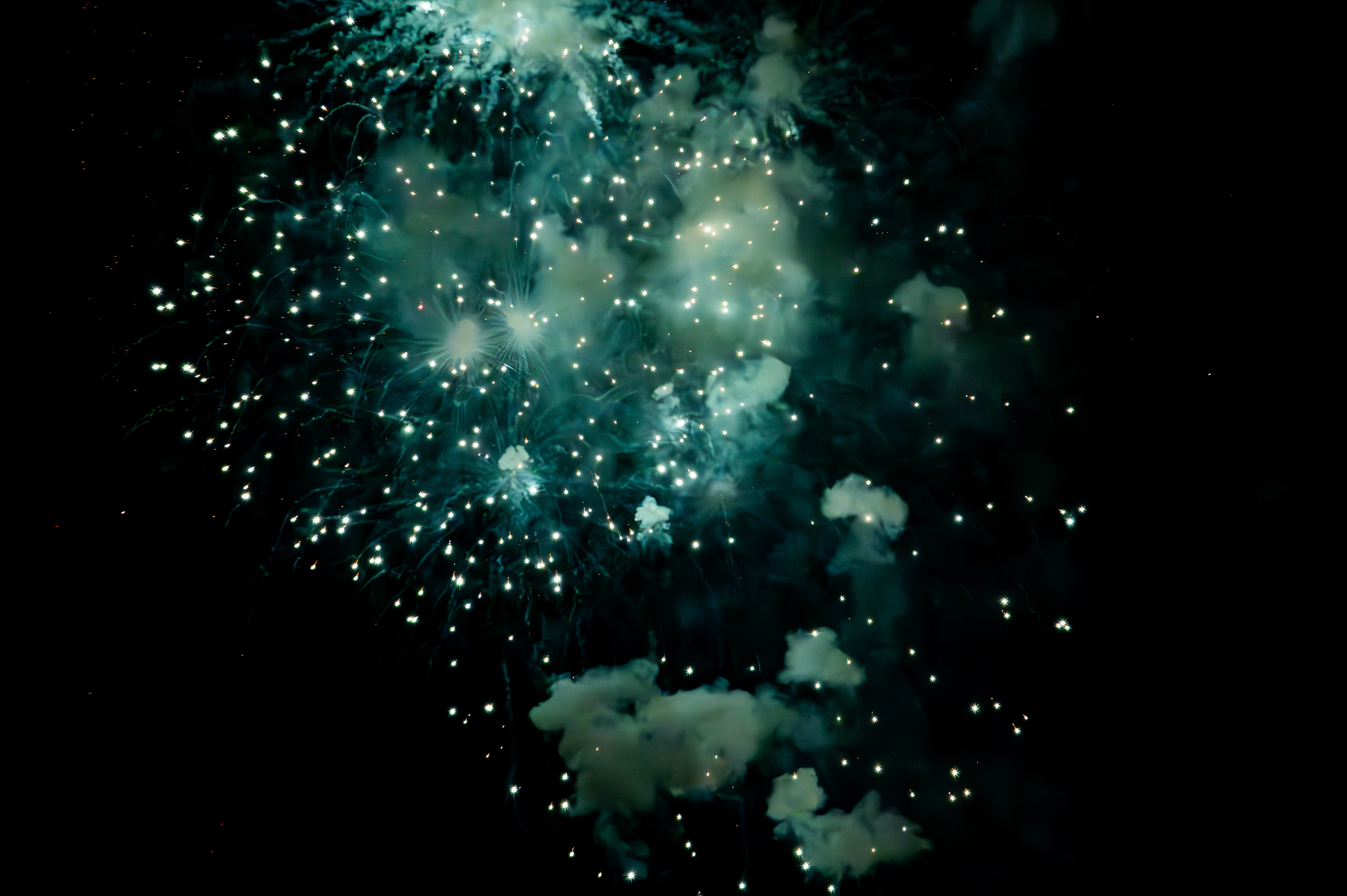 Firework Burst