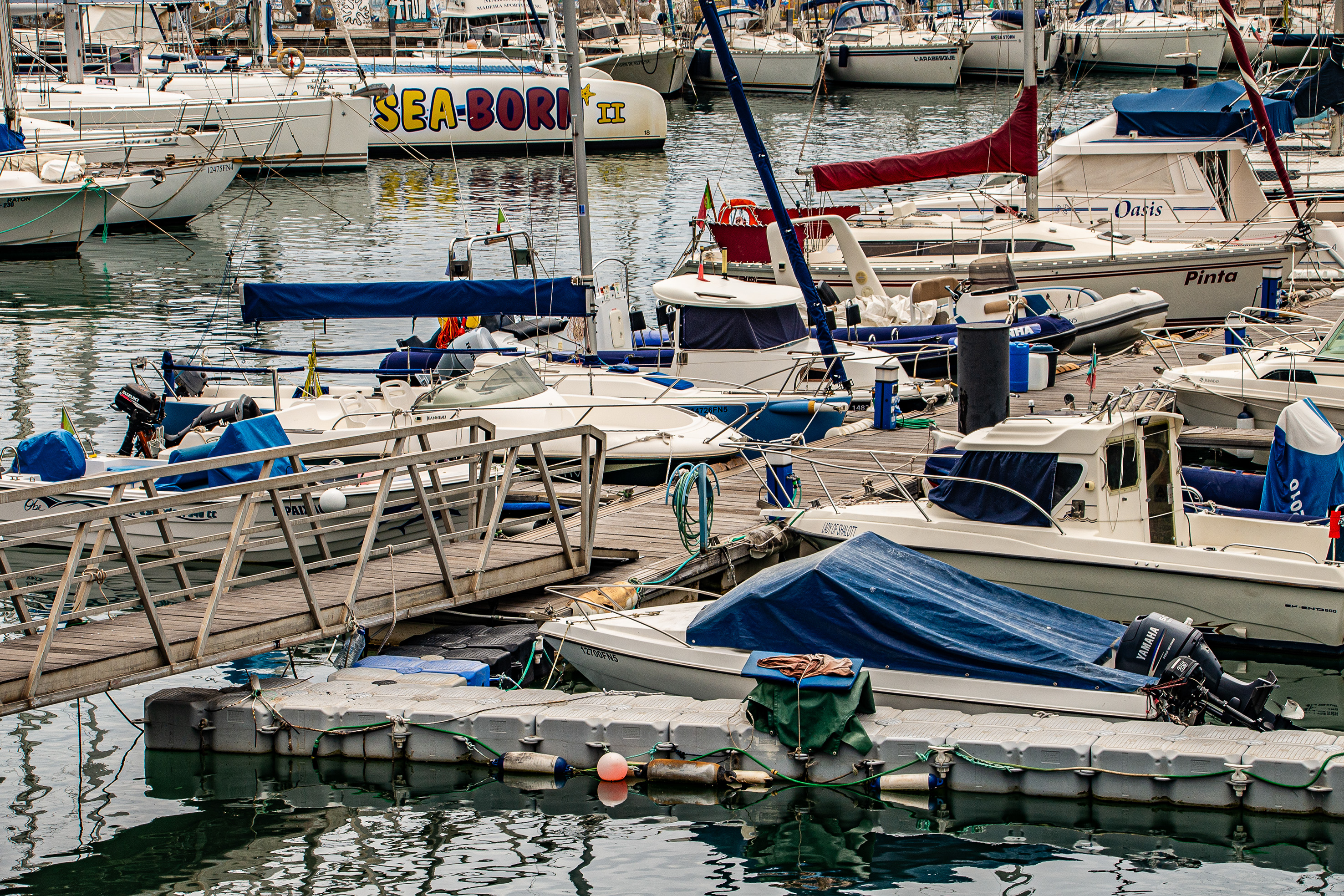 boats and yachts docked