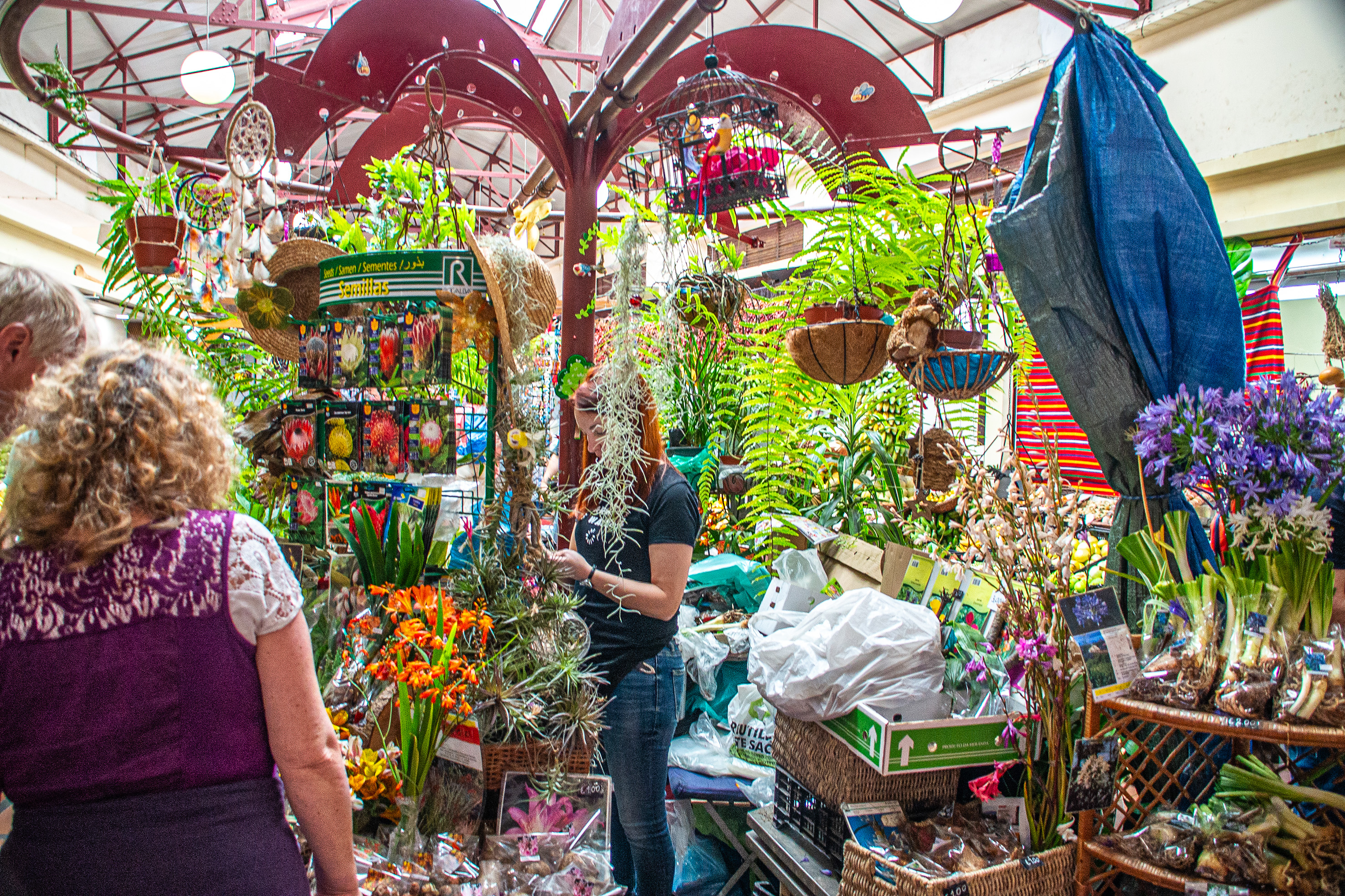 market stall filled with a variety of plants and flowers