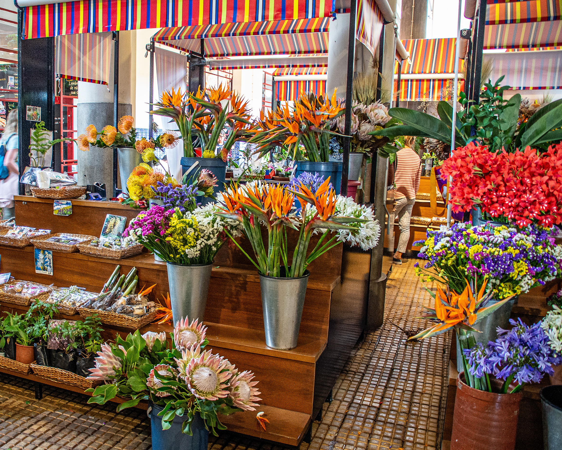 birds of paradise, proteas, and various other blooms