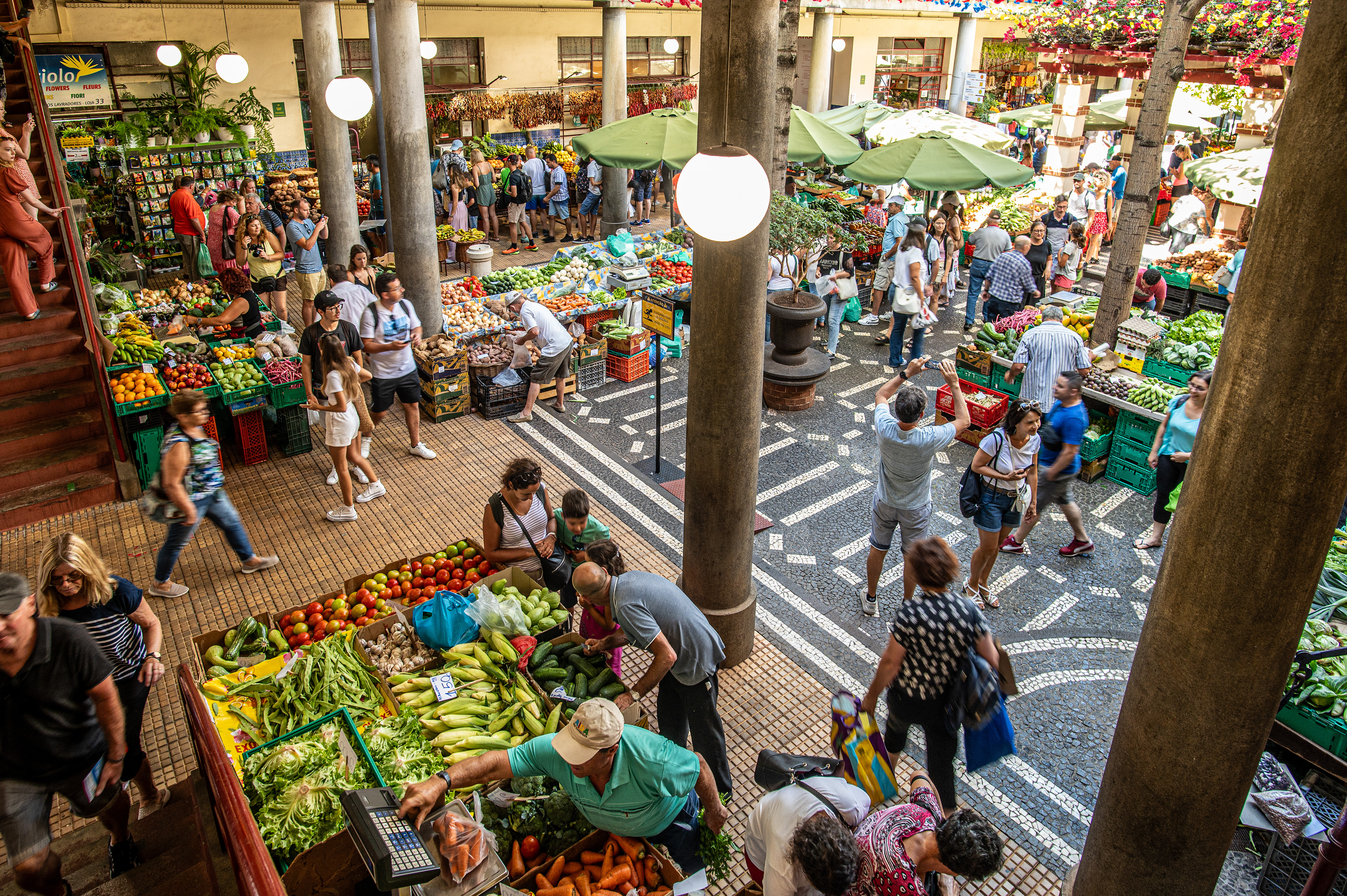 variety of fresh produce