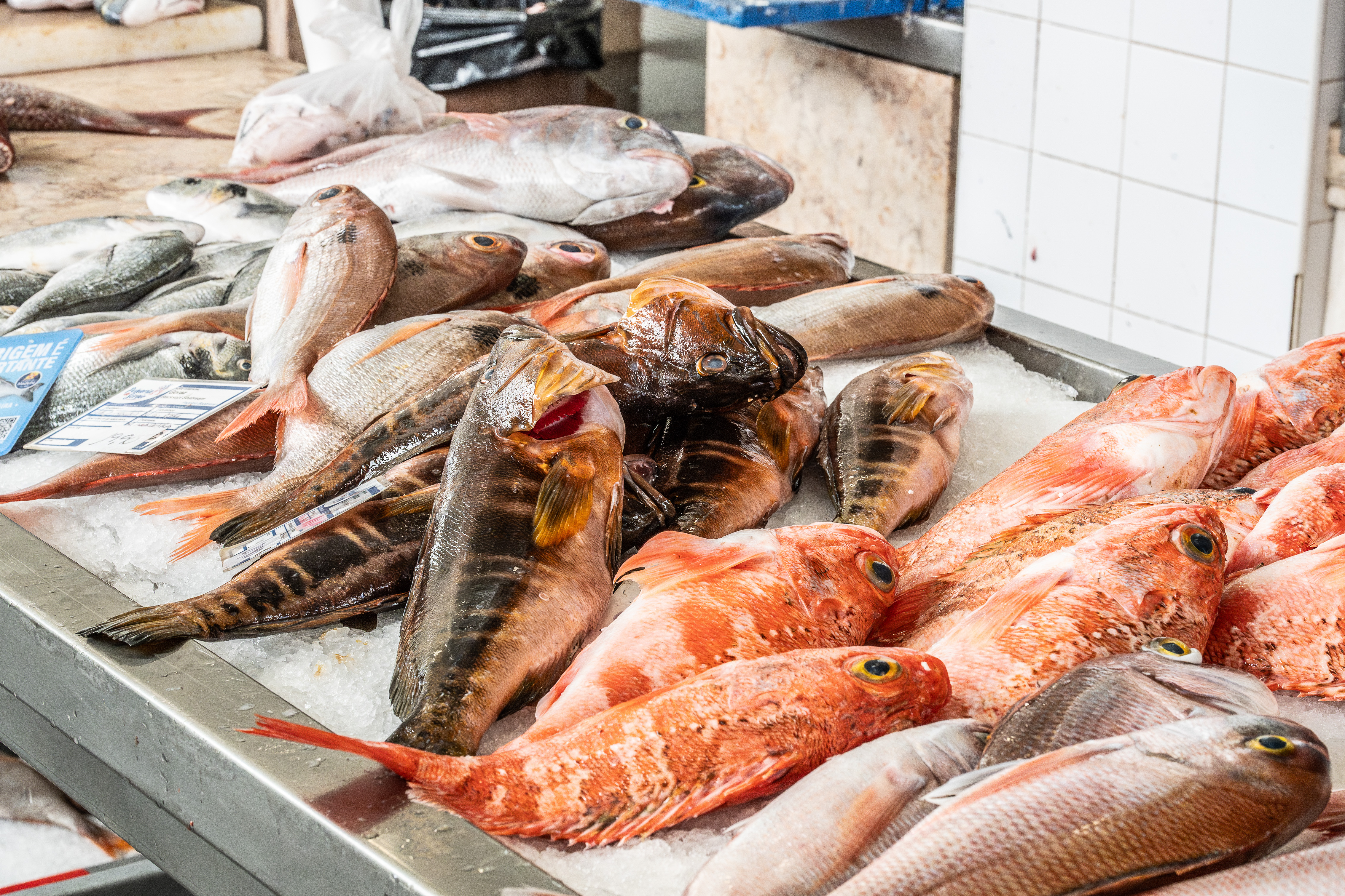 fresh fish displayed on a bed of ice