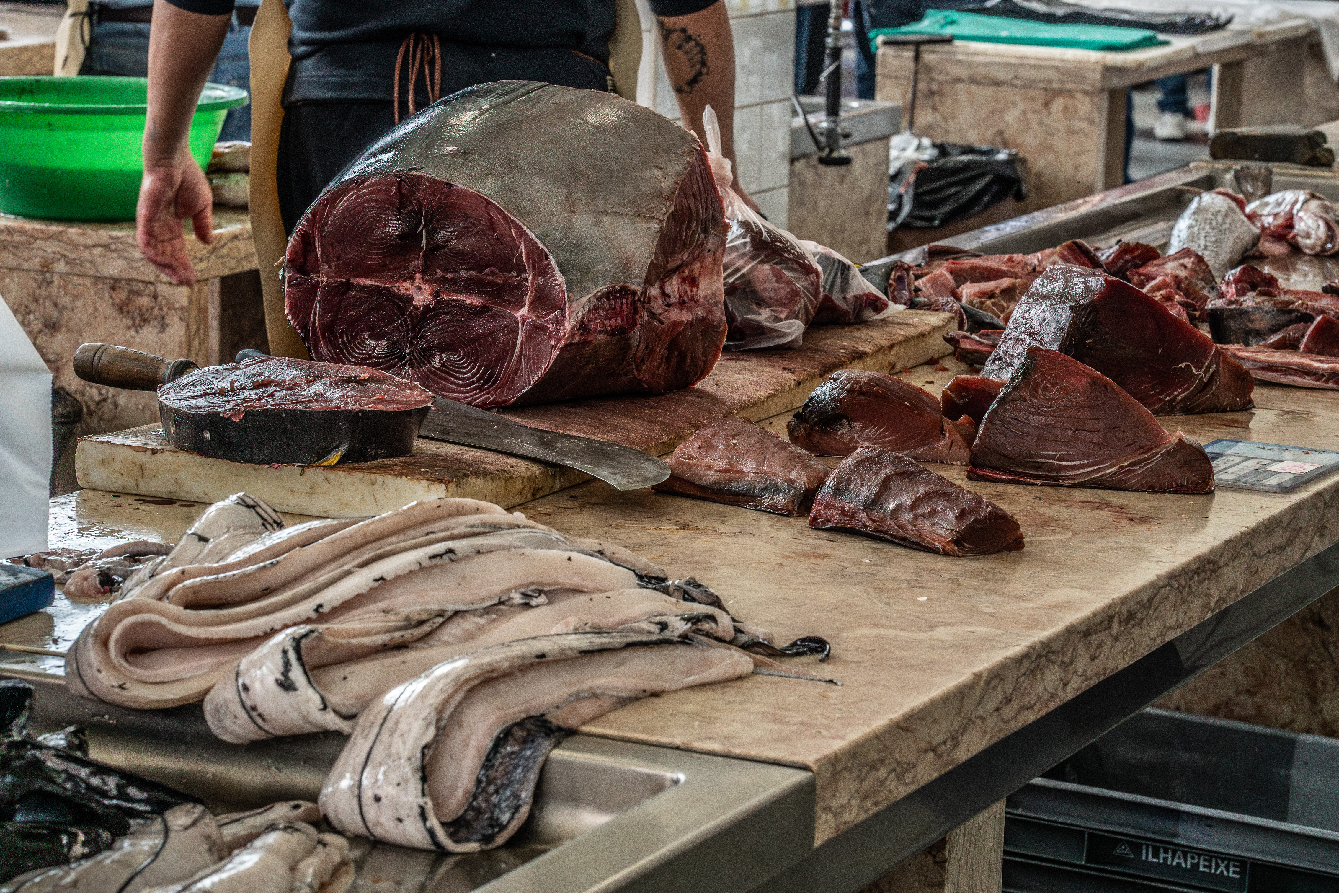 some large fish heads and chunks of fish