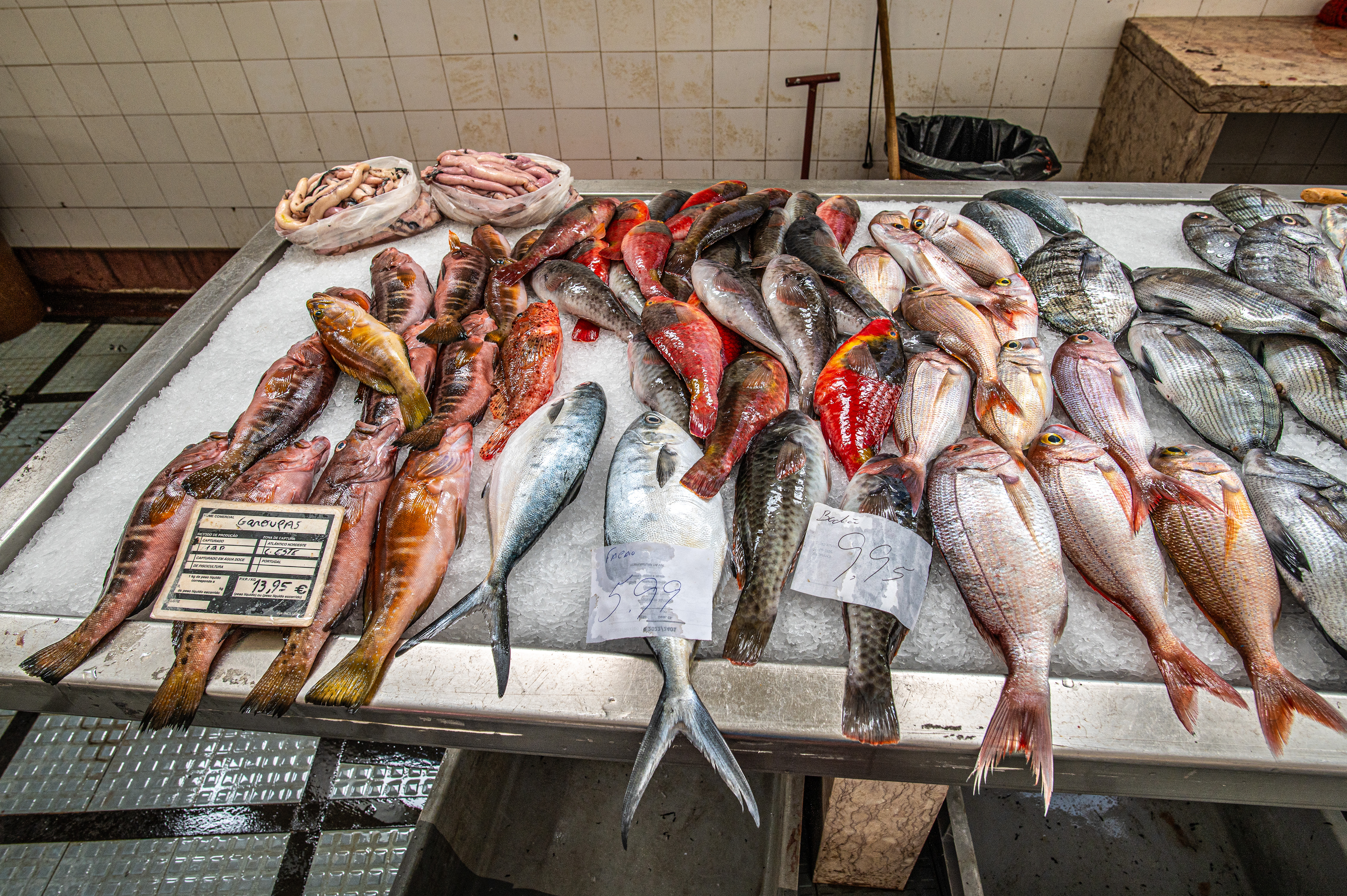 seafood market
