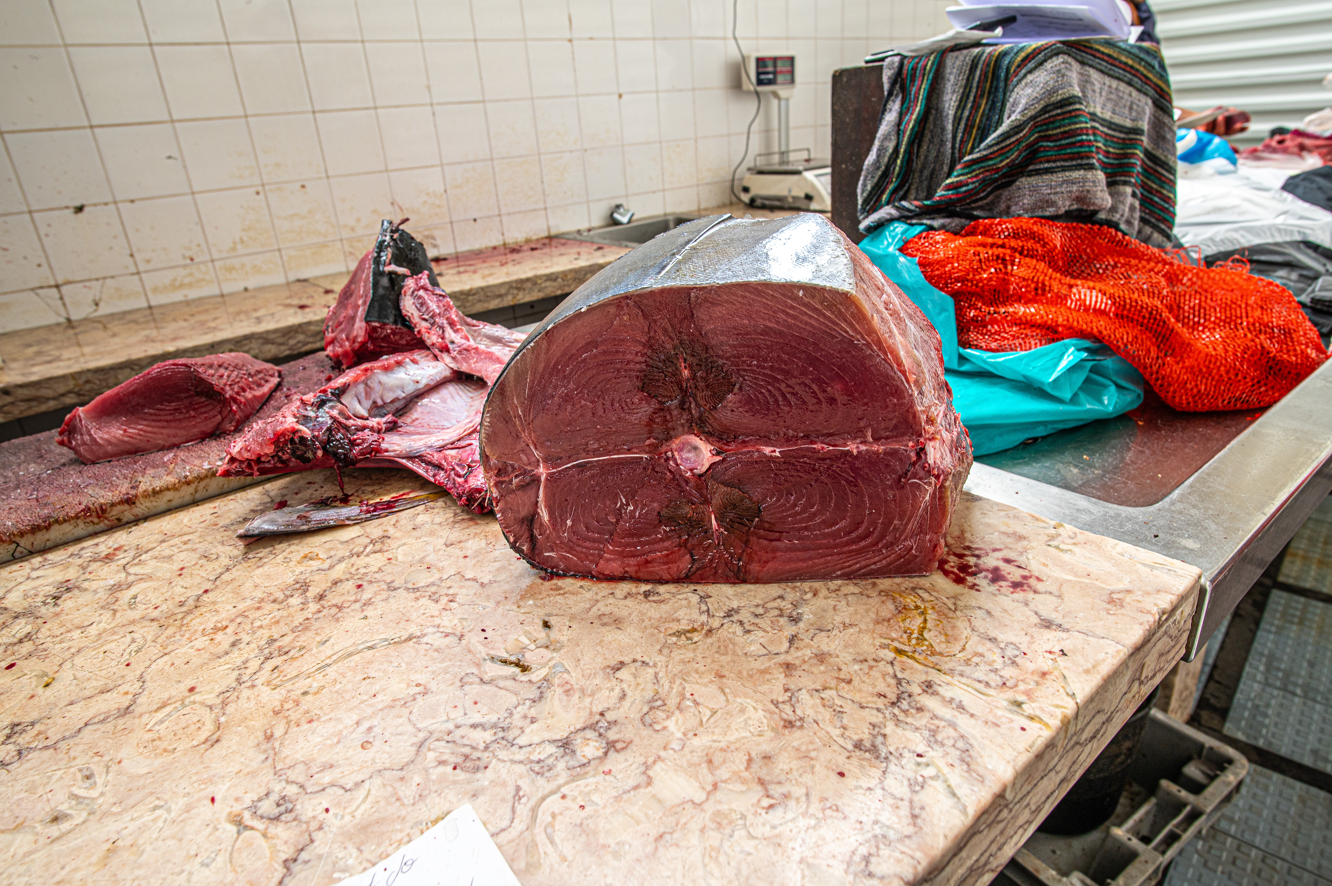 raw tuna on a cutting table