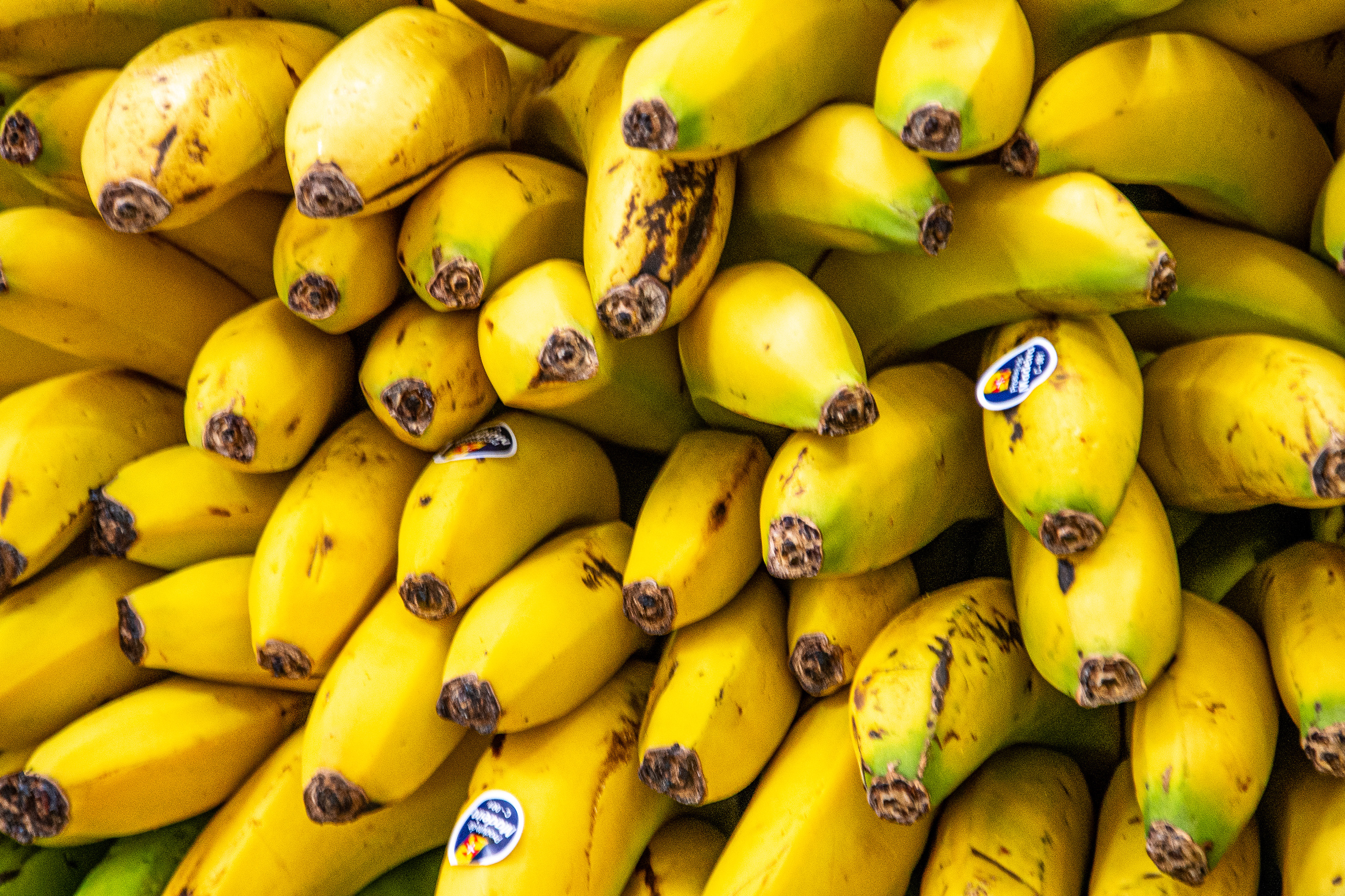 The image shows a pile of ripe bananas with some having stickers on them.