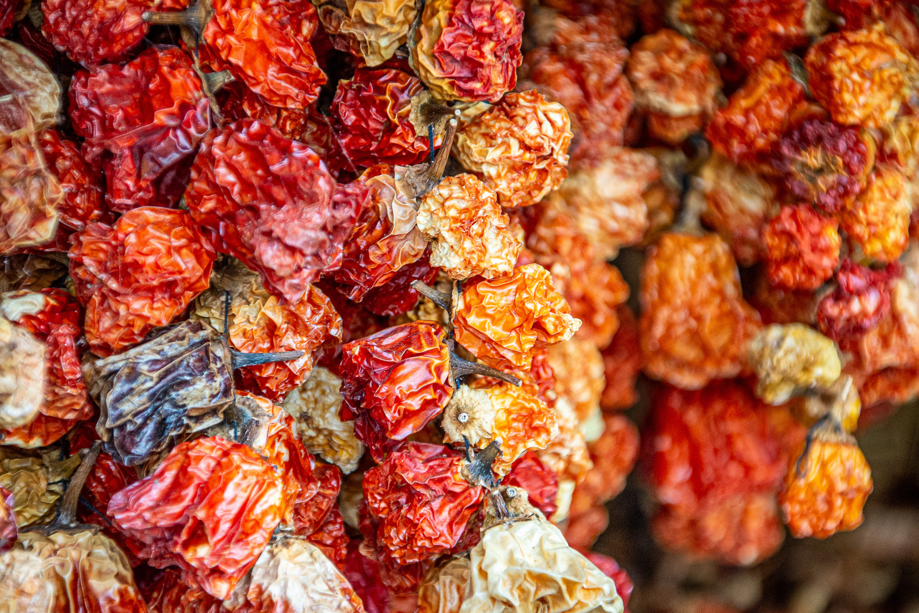 a large cluster of dried chili peppers