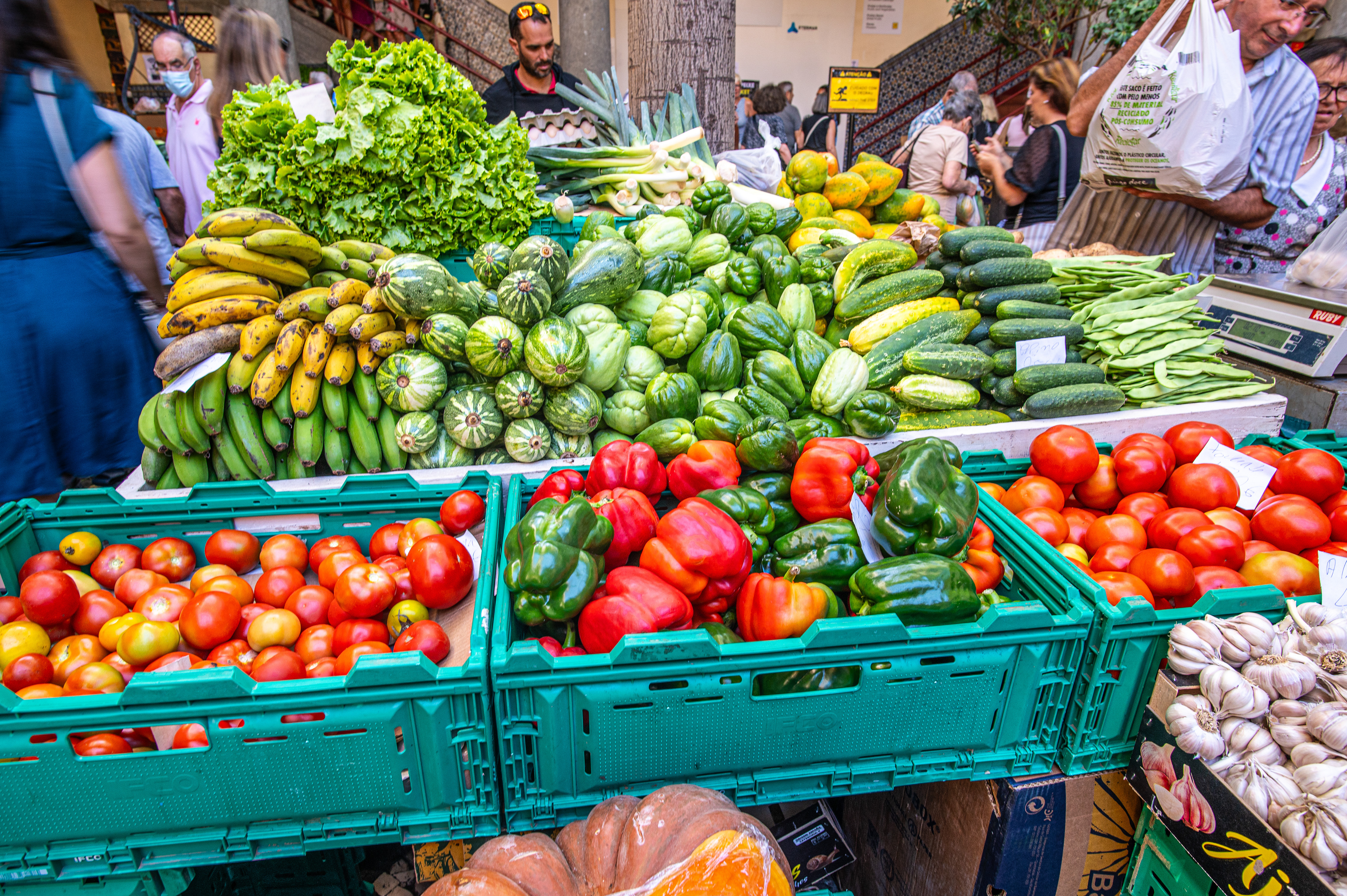 bananas, cucumbers, tomatoes, bell peppers, garlic, and leafy greens