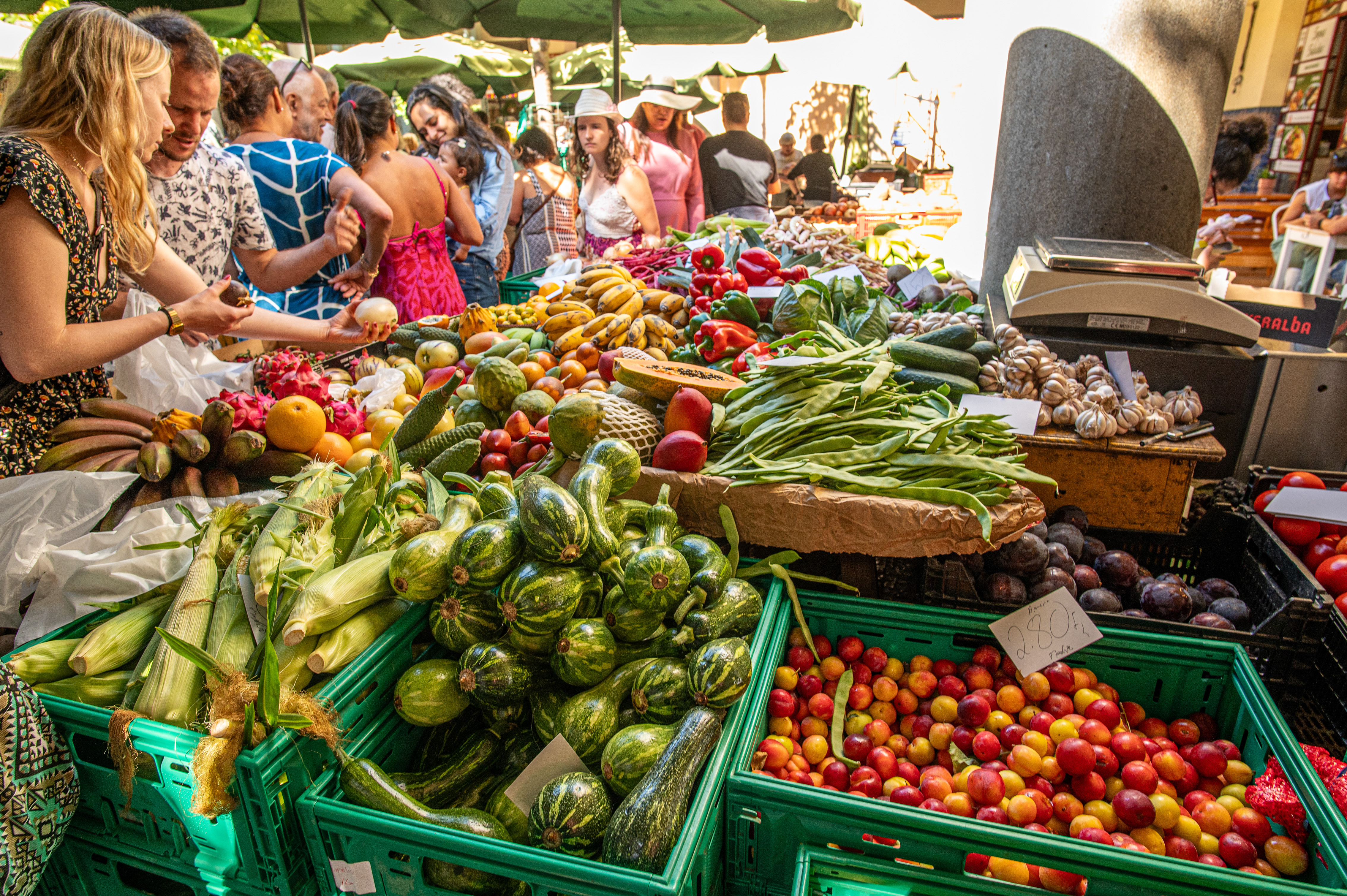 corn, gourds, peppers, tomatoes, and various other colorful fruits and vegetables