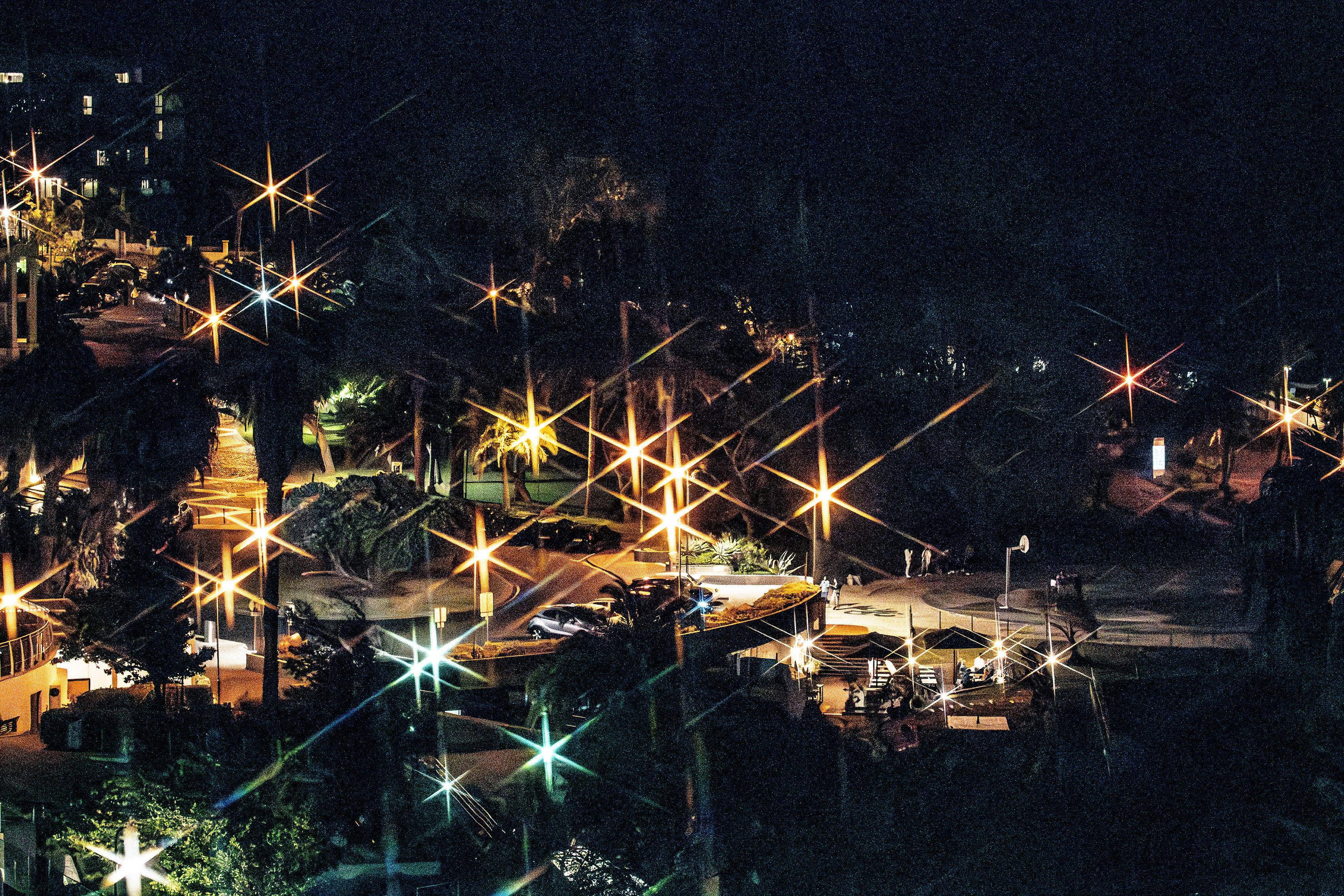 nighttime scene of an urban park