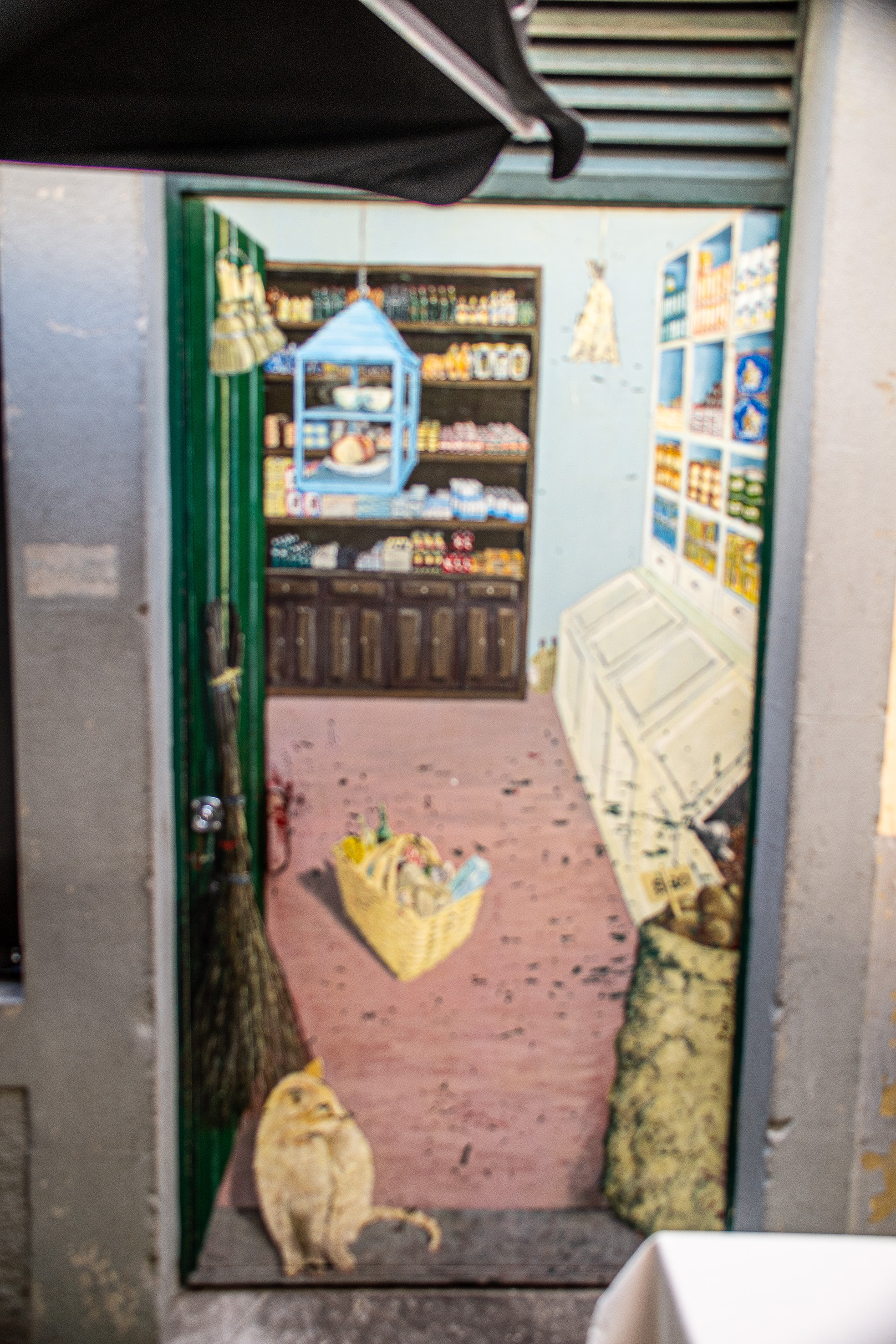 a cat sitting on the threshold