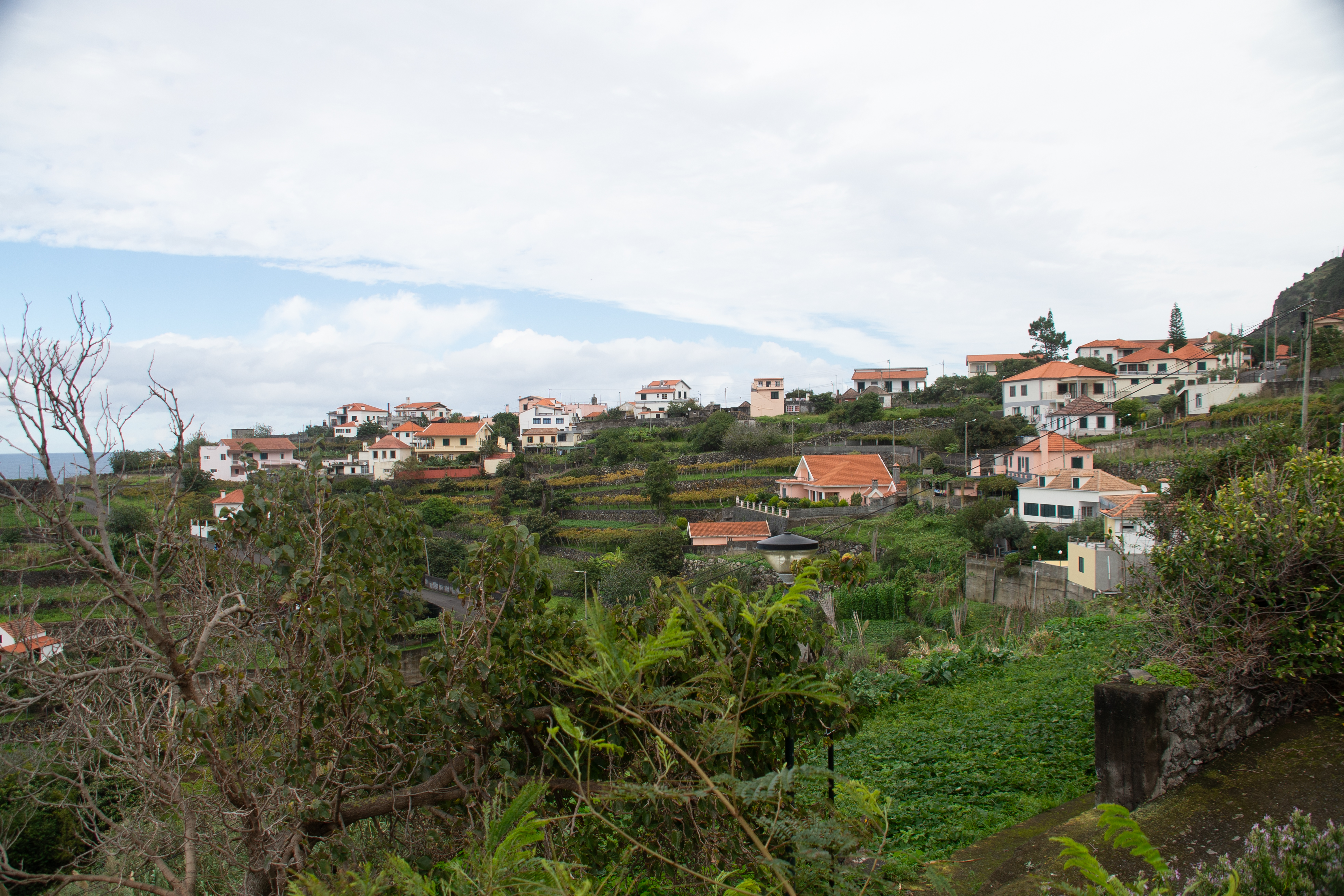 a picturesque village with houses scattered across a hillside