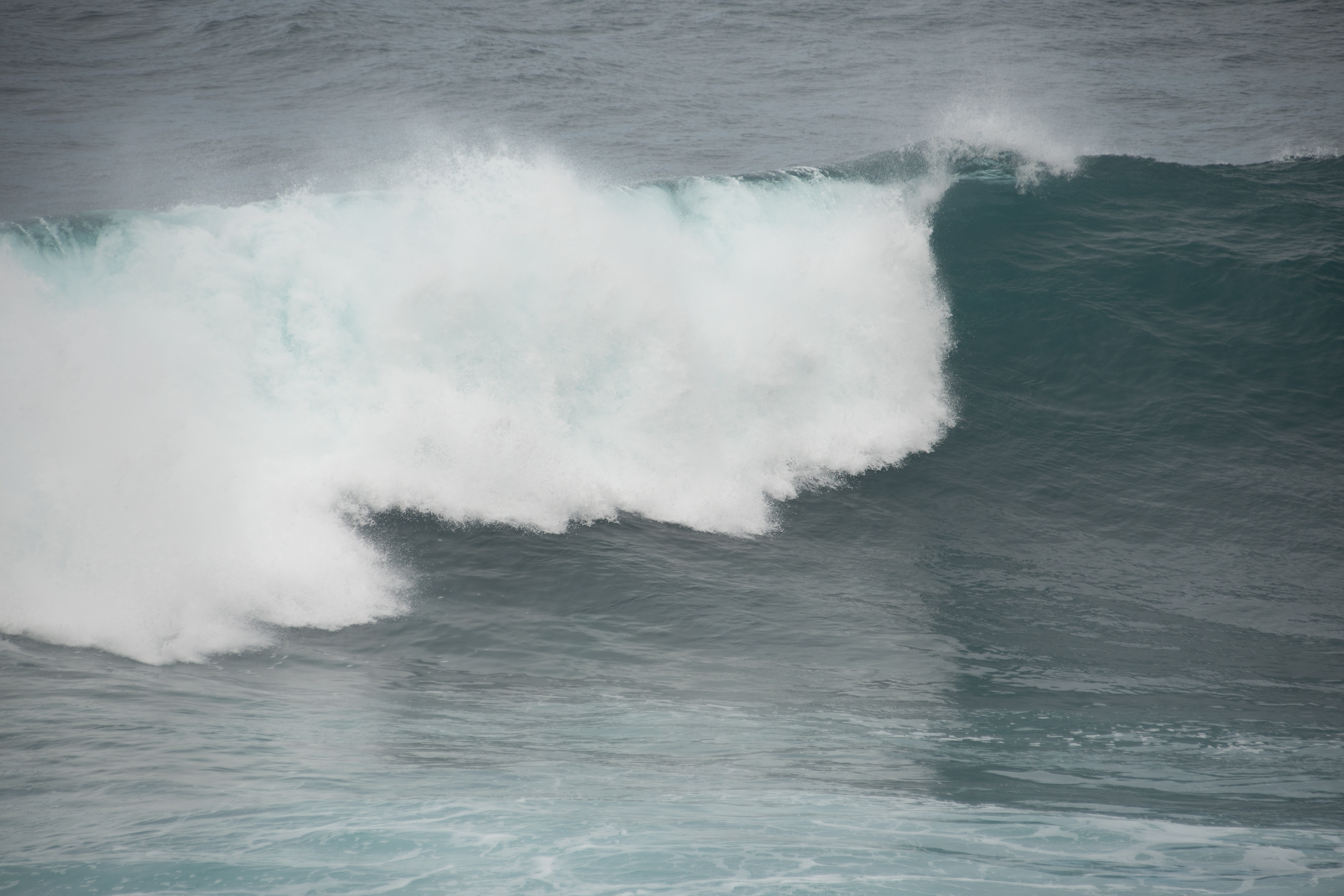 the raw and dynamic nature of the sea