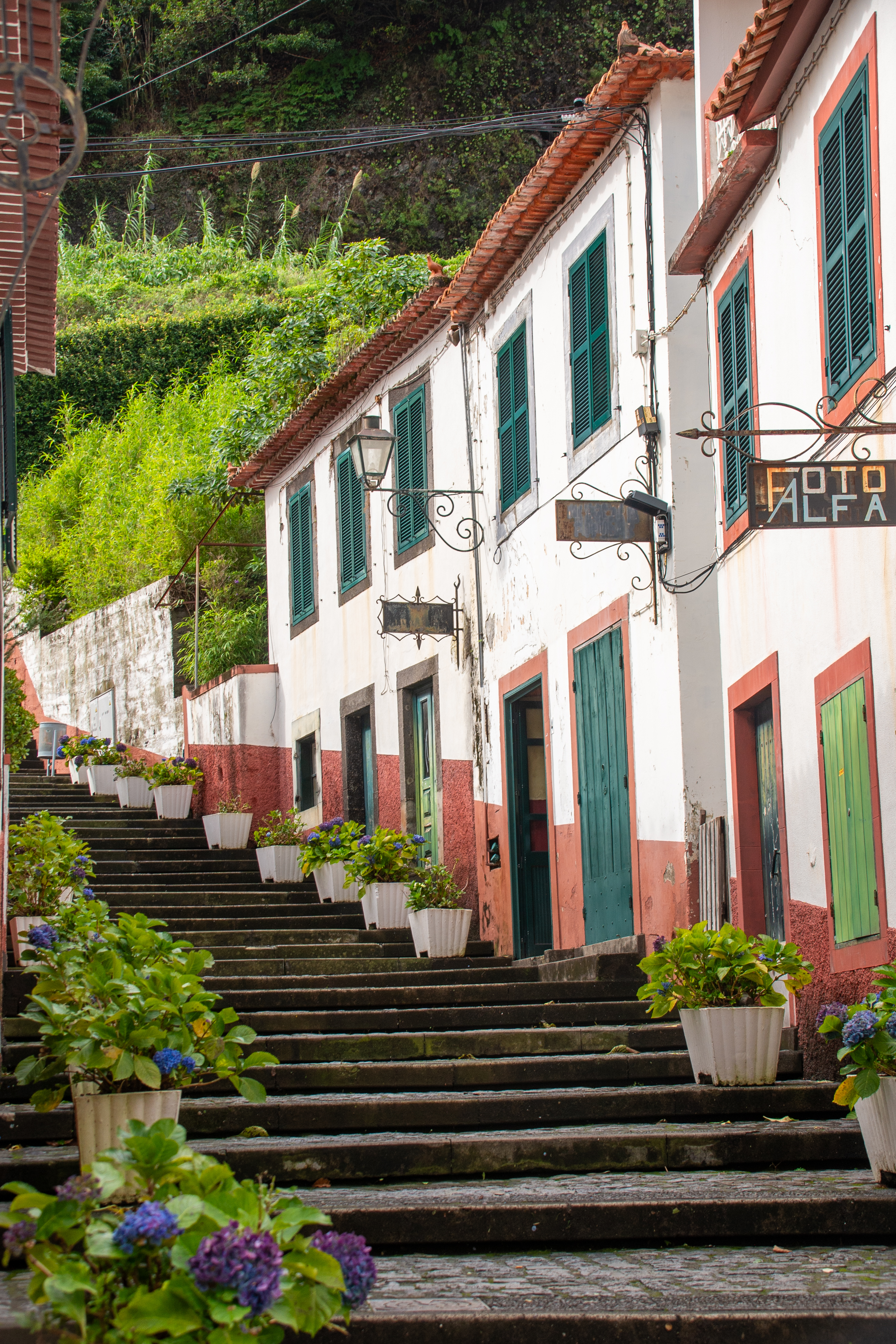 A set of stone steps leads up the hil