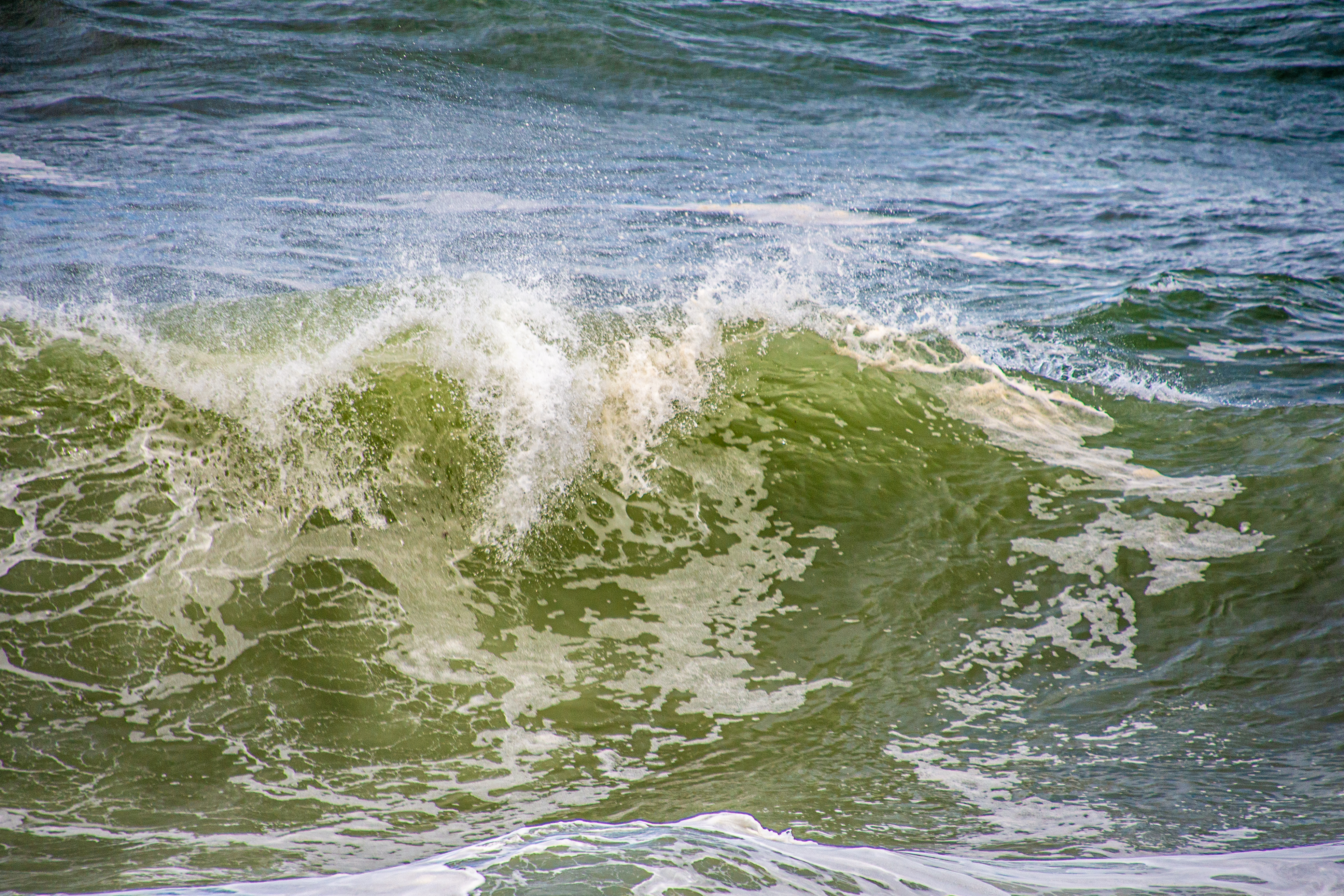 a wave in the ocean